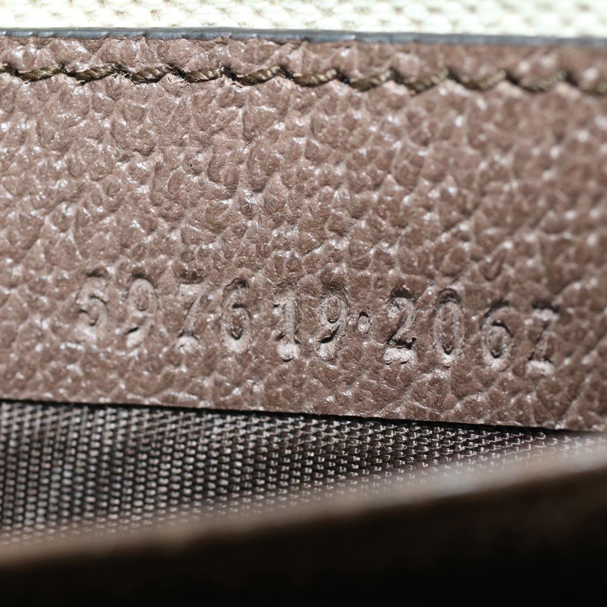 Gucci Ophidia  Canvas Clutch Bag ()