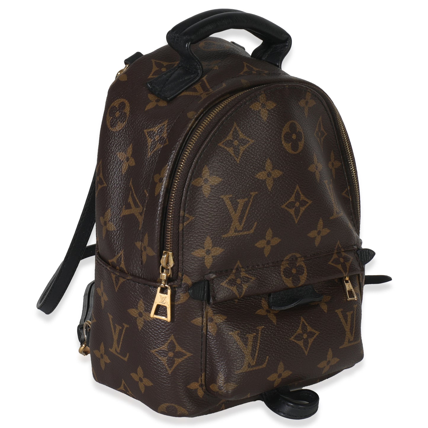 Louis Vuitton Monogram Canvas Mini Palm Springs