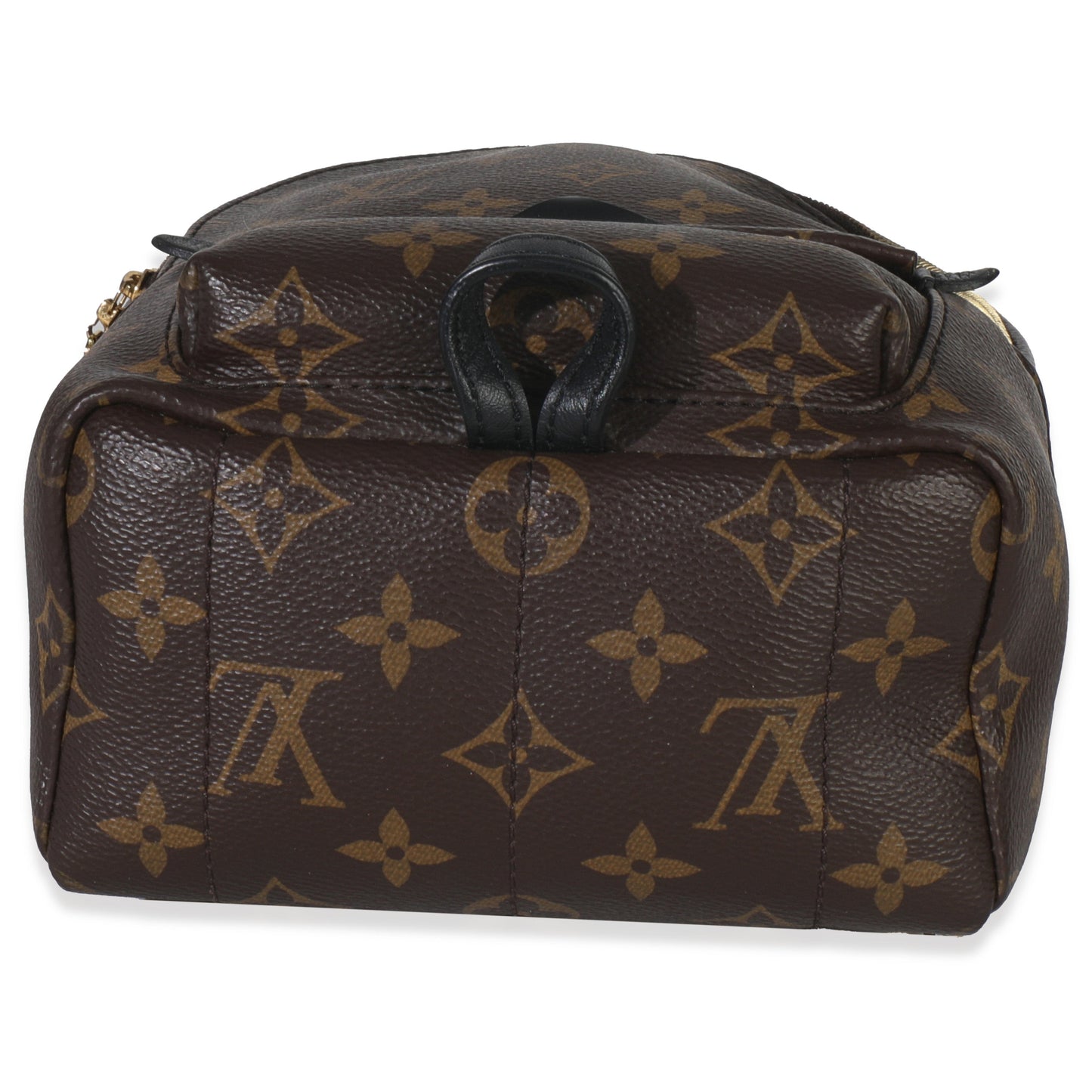 Louis Vuitton Monogram Canvas Mini Palm Springs