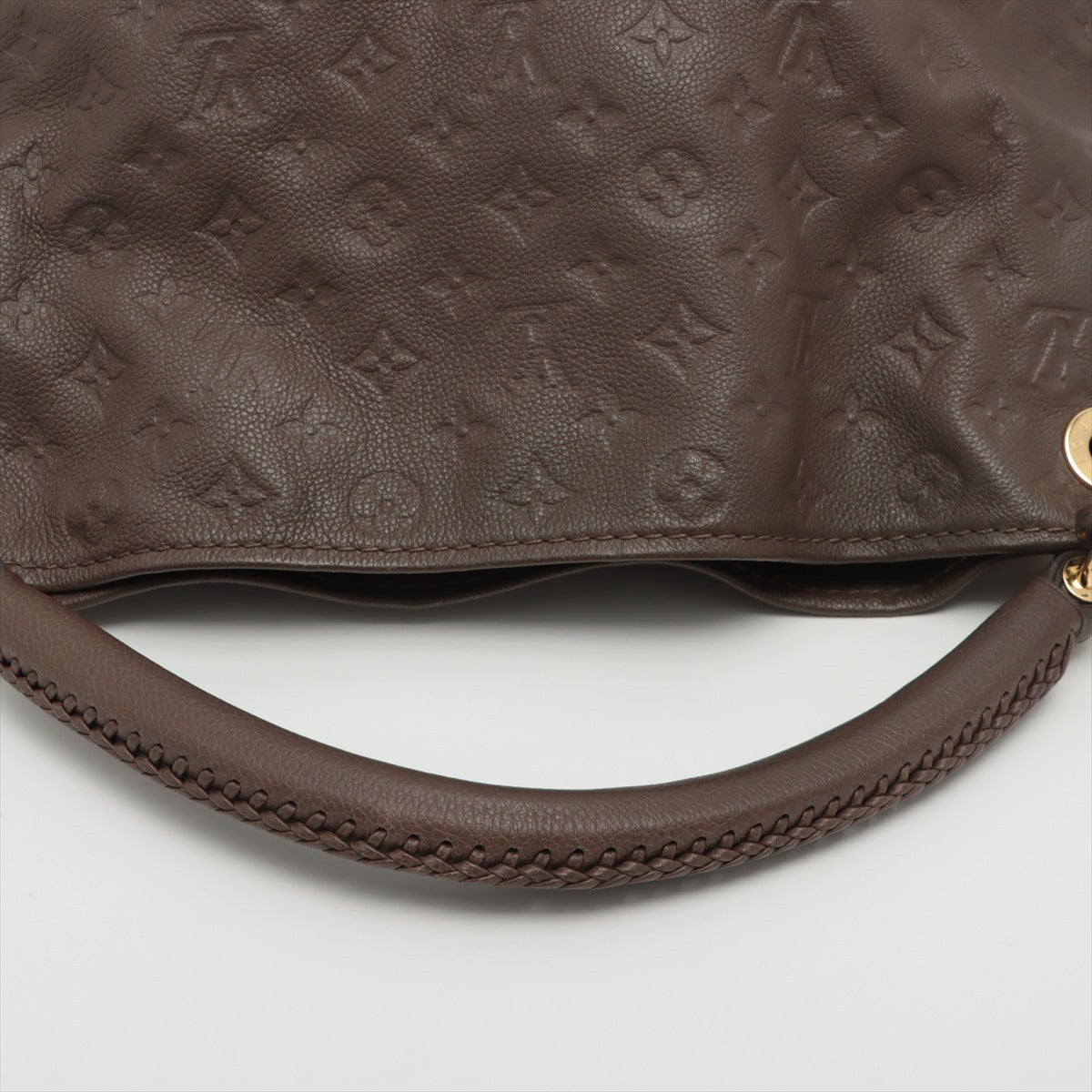 Louis Vuitton Monogram Amplant Arty MM M94171