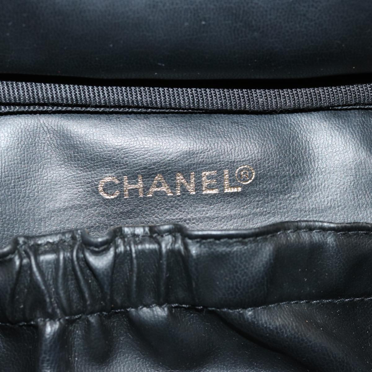 CHANEL Vanity Clutch Bag