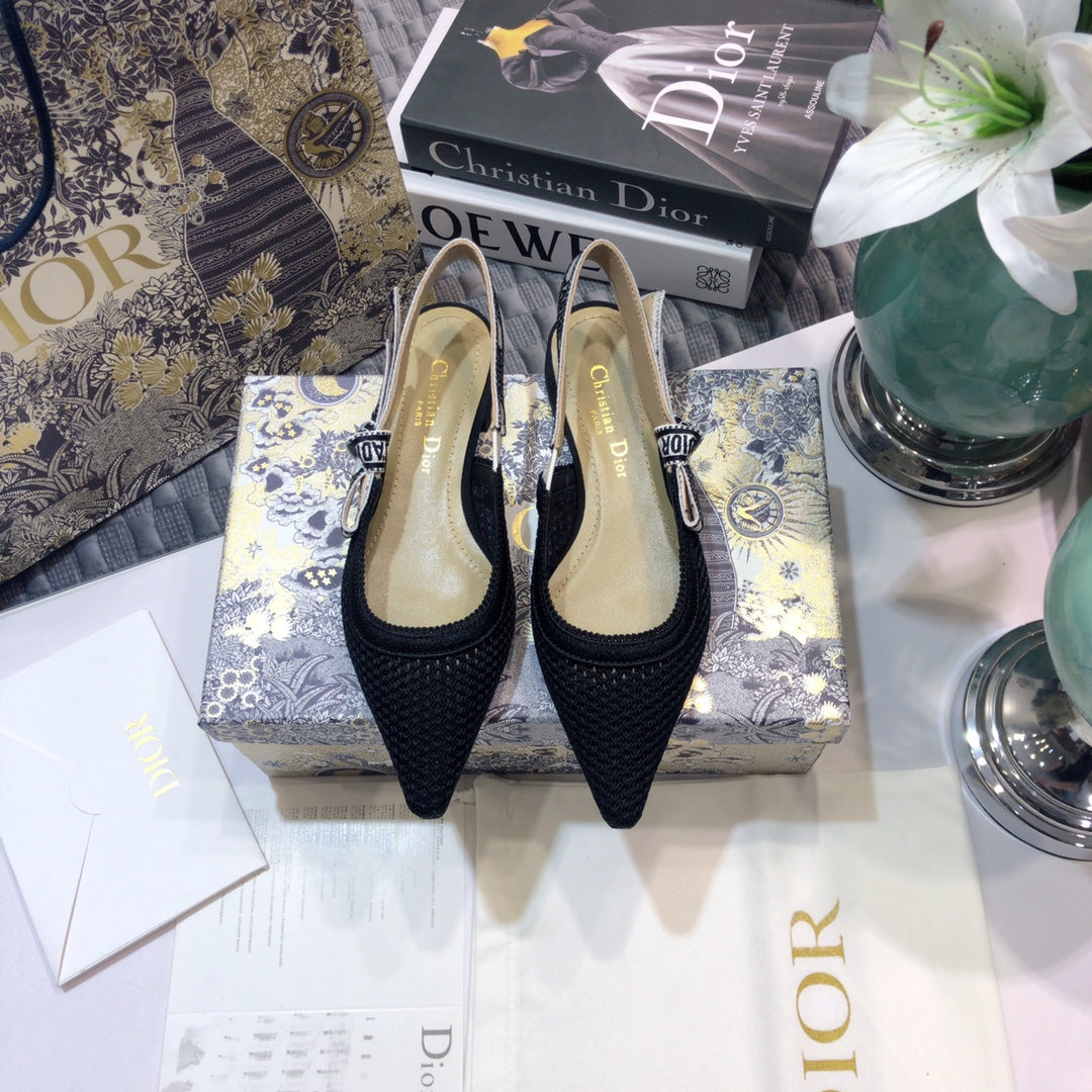 Luxury DiorJA Luxury Diorslingback flat full transparent mesh black embroidered cotton