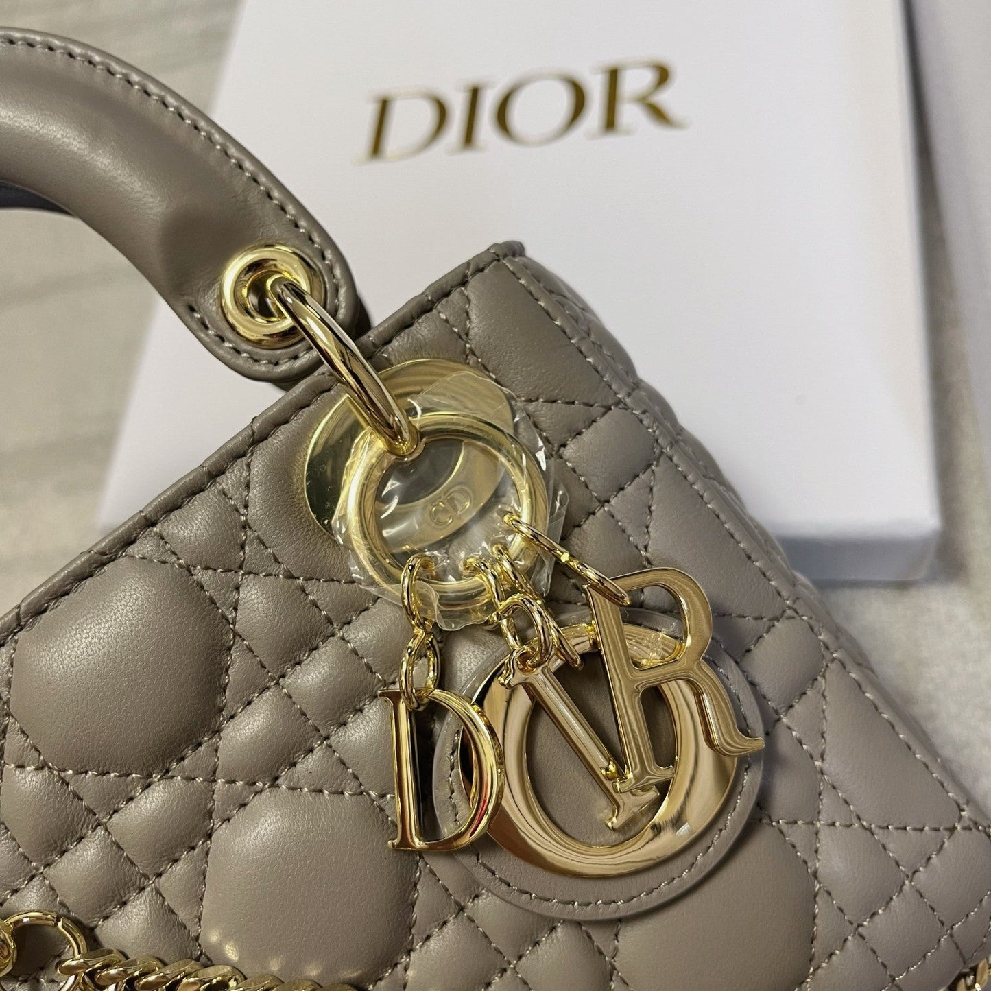 Luxury Diormini lady 17 brown grey lambskin