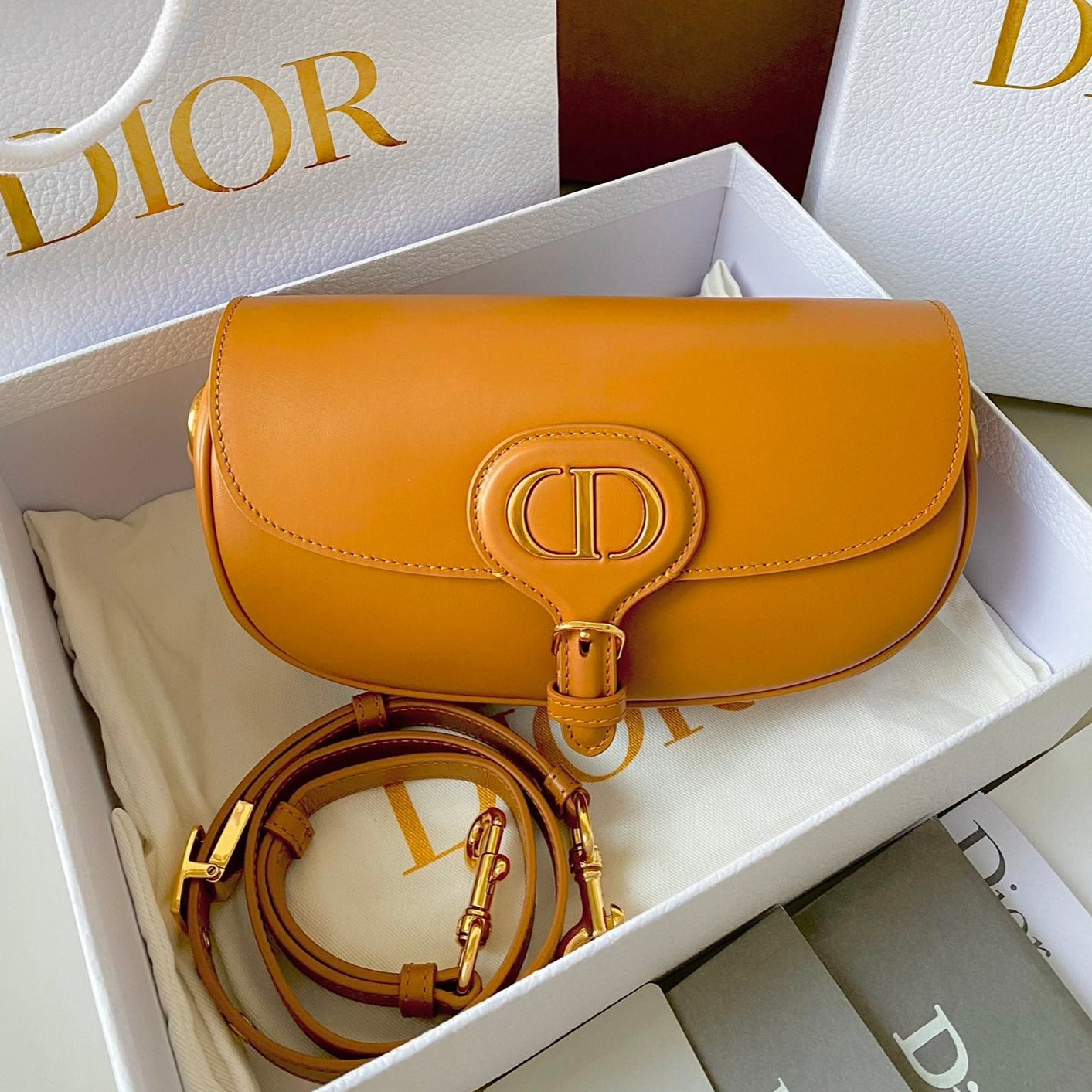 Luxury Diormedium east west bobby 22cm brown calfskin ghw
