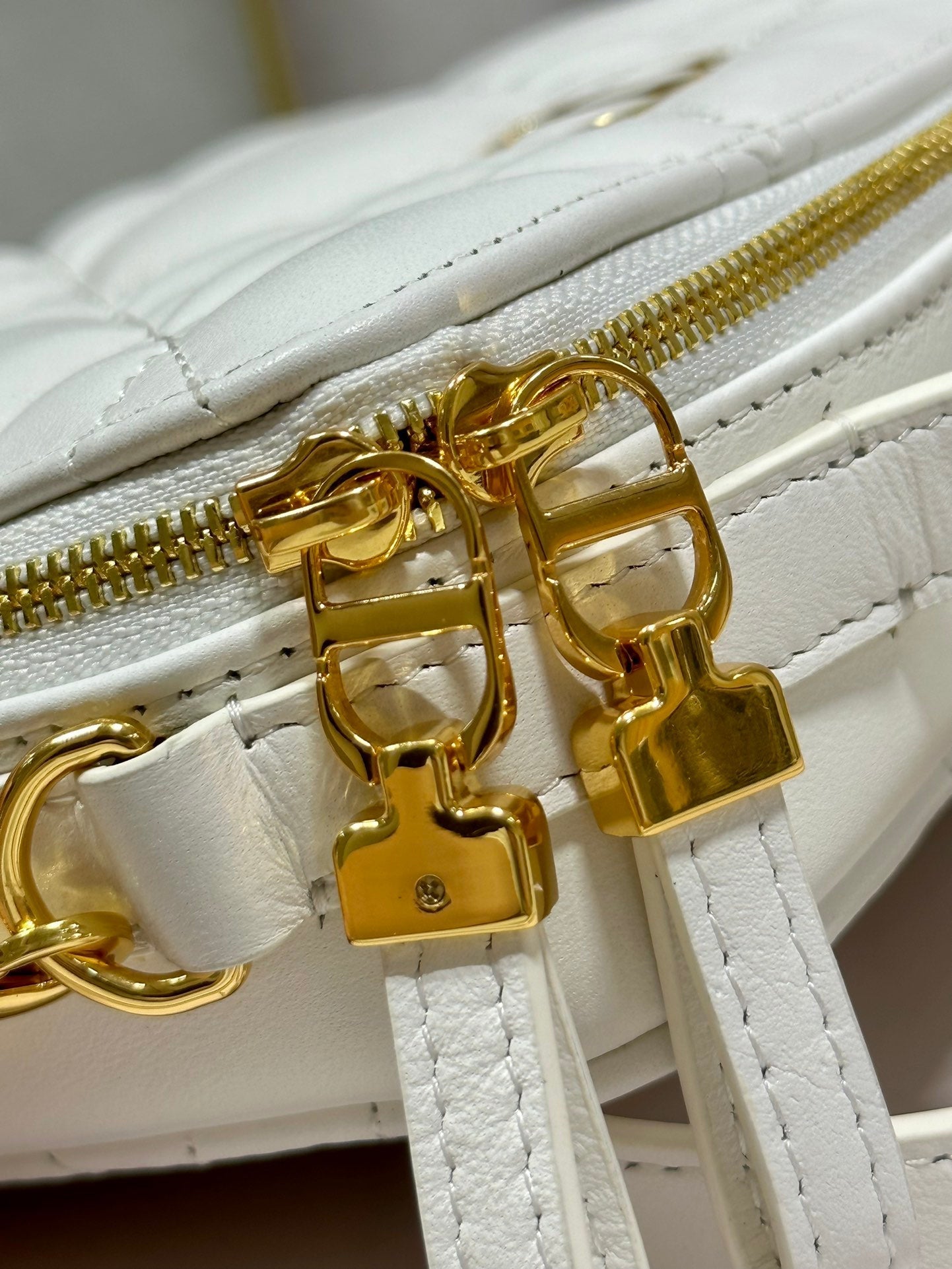 Luxury Diorcaro box 18 white calfskin