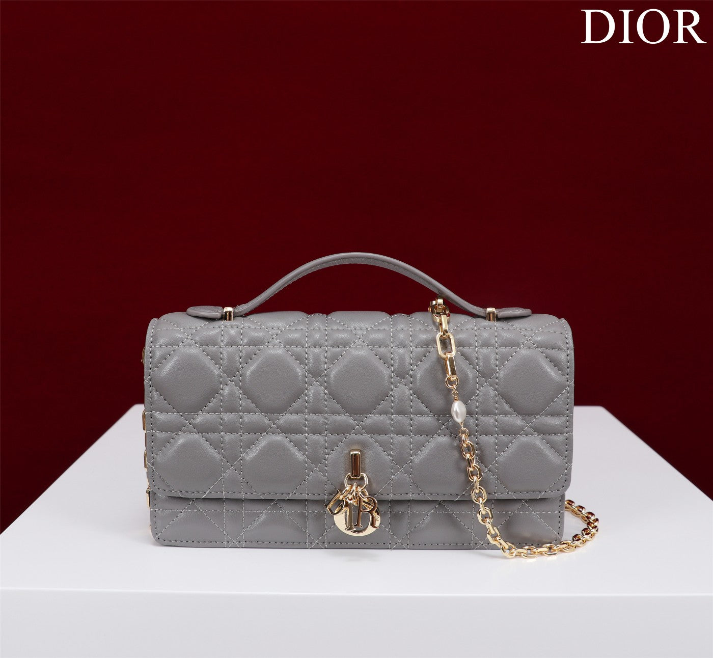 Luxury Diormy mini 21 gray lambskin