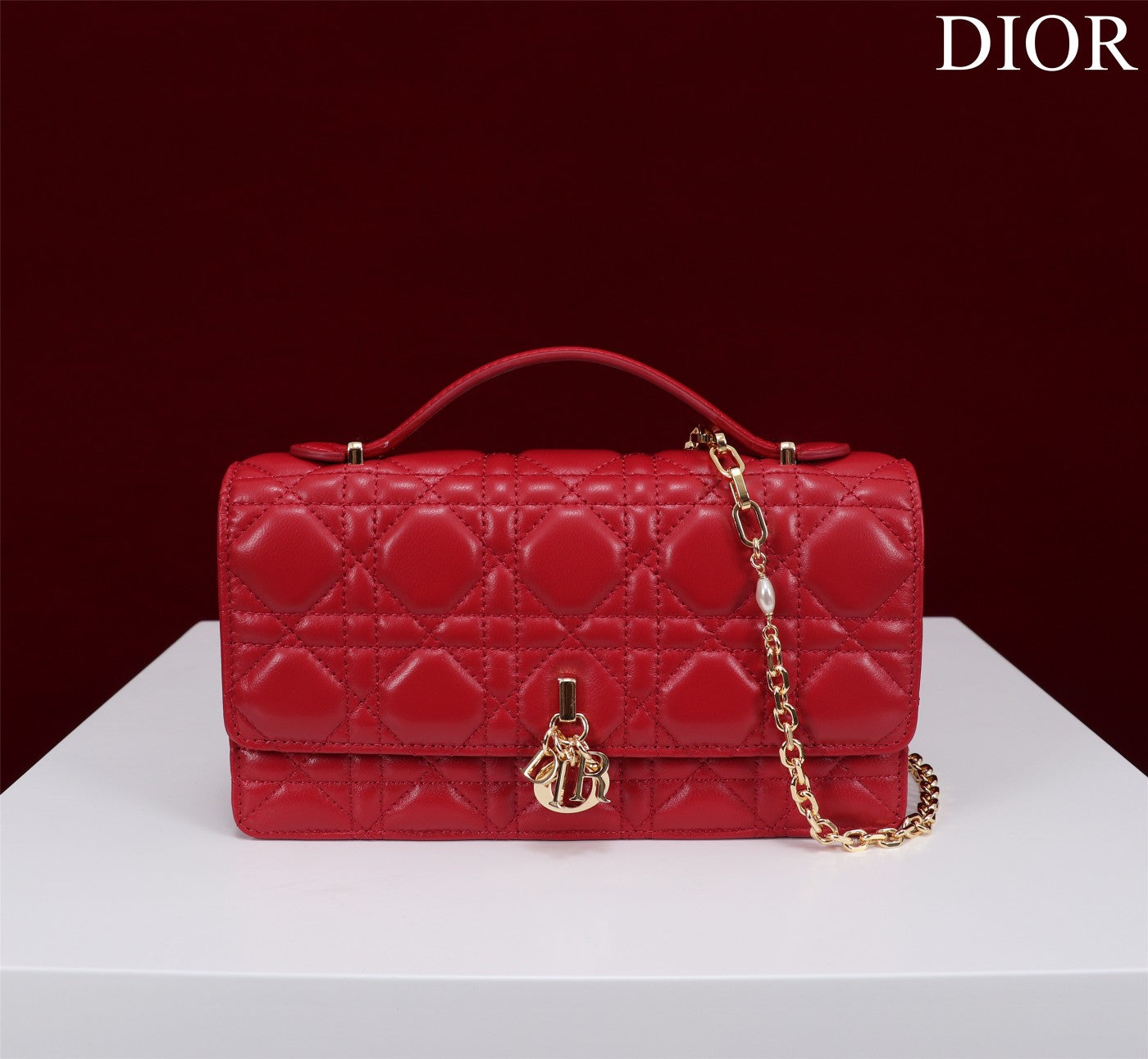 Luxury Diormy mini 21 red lambskin