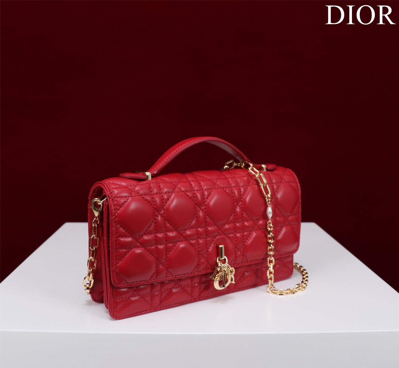 Luxury Diormy mini 21 red lambskin
