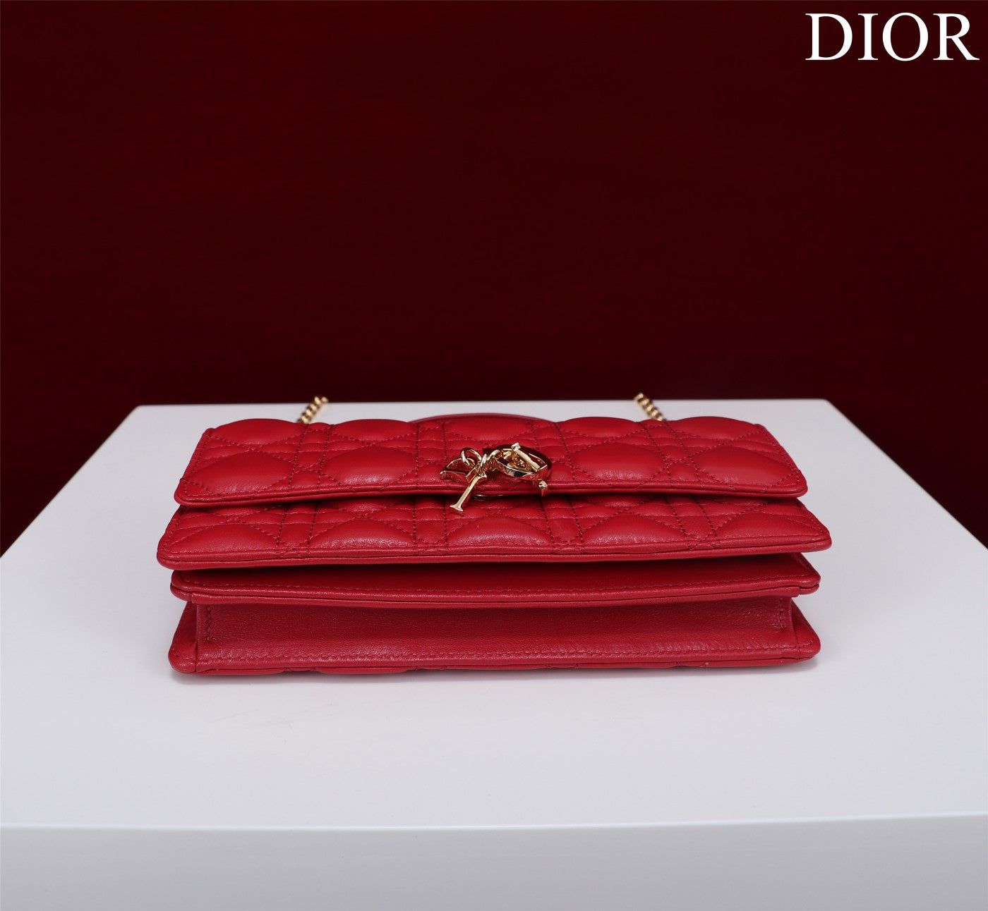 Luxury Diormy mini 21 red lambskin
