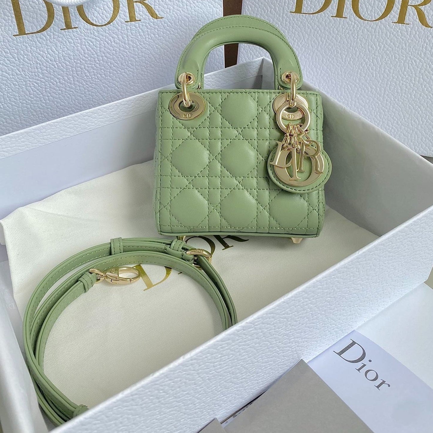 Luxury DiorMICRO LADY 12 BAG IN LIGHT GREEN LAMBSKIN