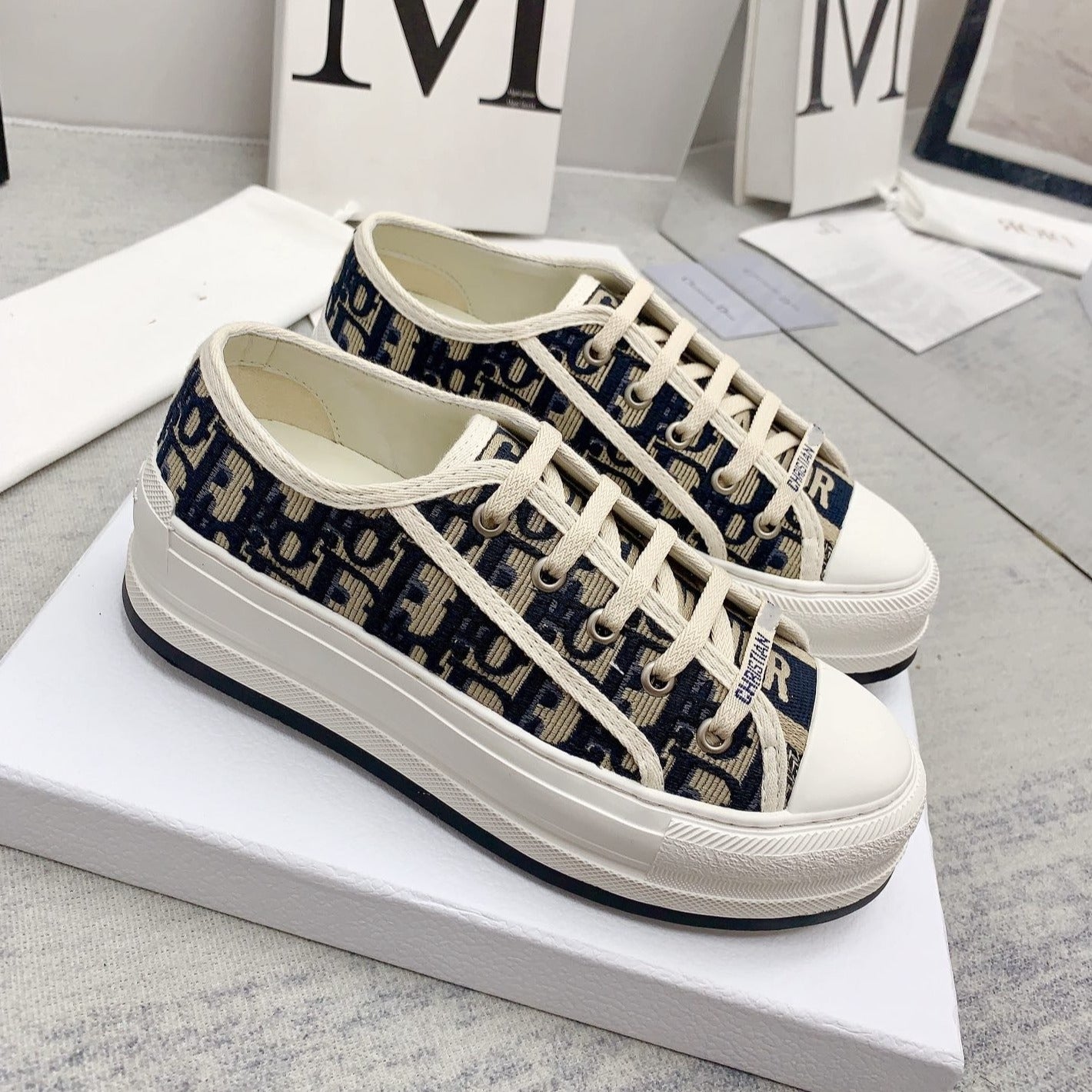 Luxury Diorwalkn 45 beige blue oblique embroidery canvas