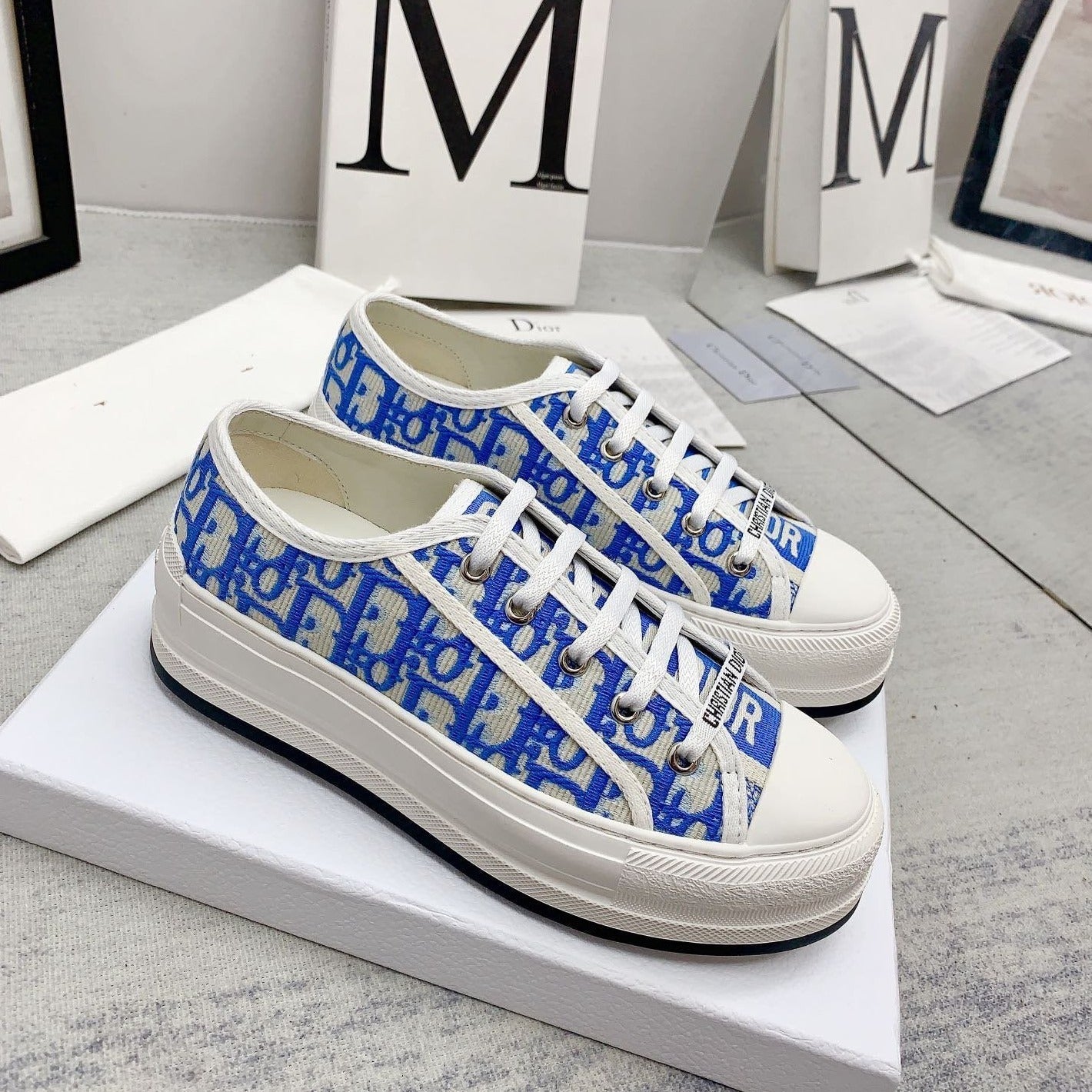 Luxury Diorwalkn 45 azure blue oblique embroidery canvas