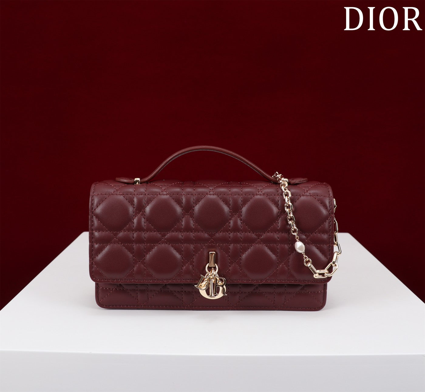 Luxury Diormy mini 21 burgundy lambskin