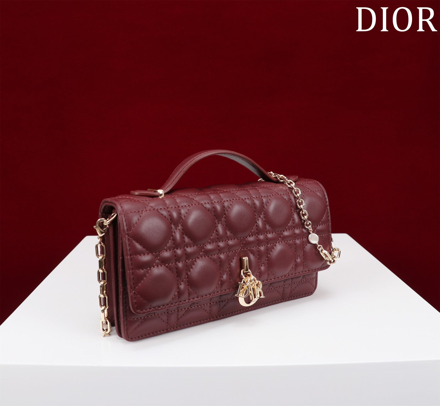 Luxury Diormy mini 21 burgundy lambskin