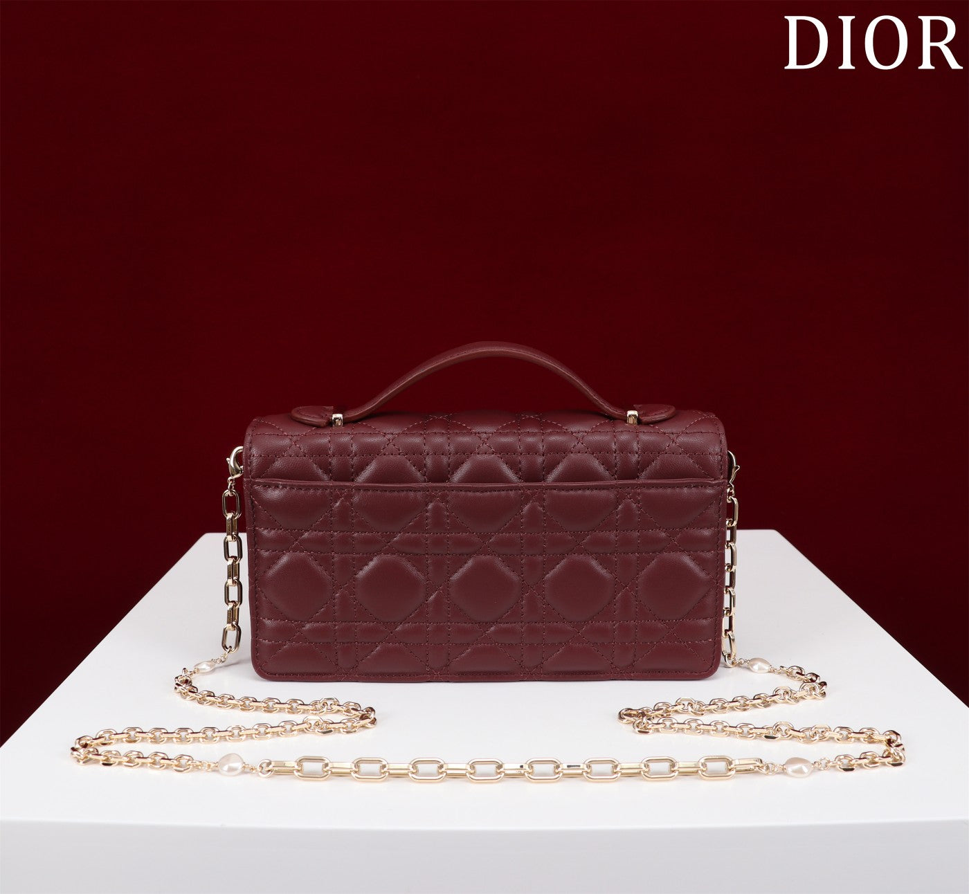 Luxury Diormy mini 21 burgundy lambskin