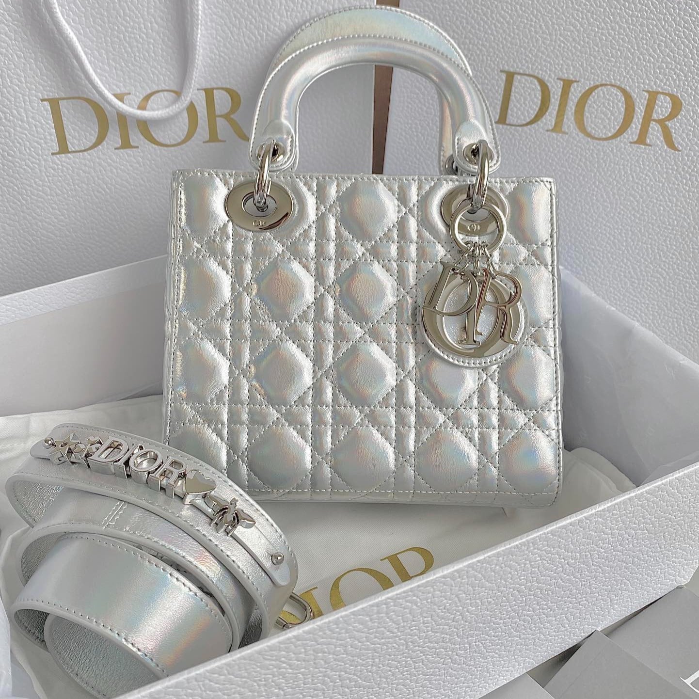 Luxury DiorMEDIUM LADY 20 HANDBAG IN SILVER LAMBSKIN