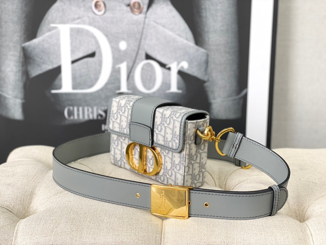 Luxury DiorMONTAIGNE 19 HANDBAG IN GREY CALFSKIN