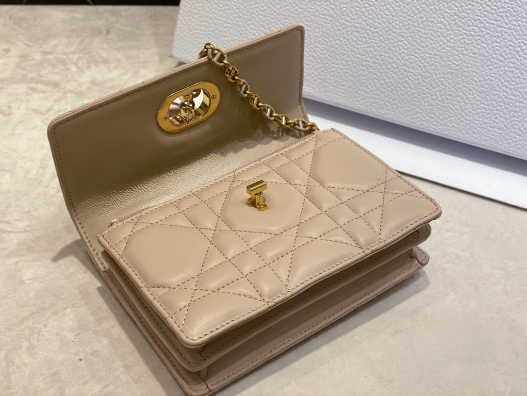 Luxury Diormiss caro mini 19 light beige calfskin