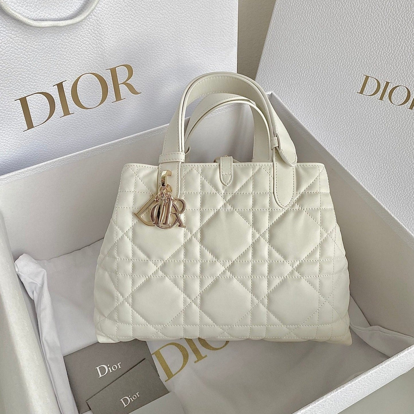Luxury Diormedium toujours 28 white calfskin