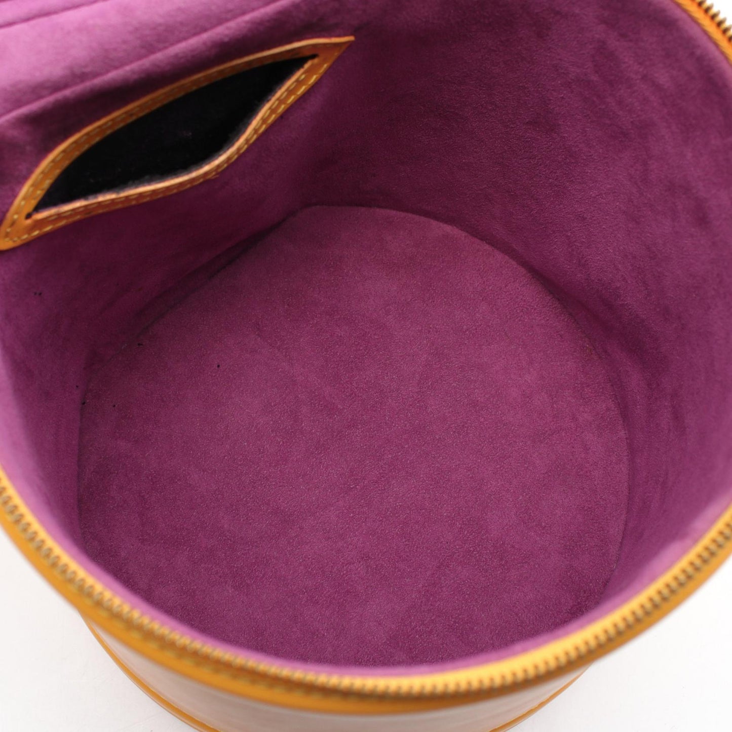 Louis Vuitton Epi Leather Cannes Handbag M48039
