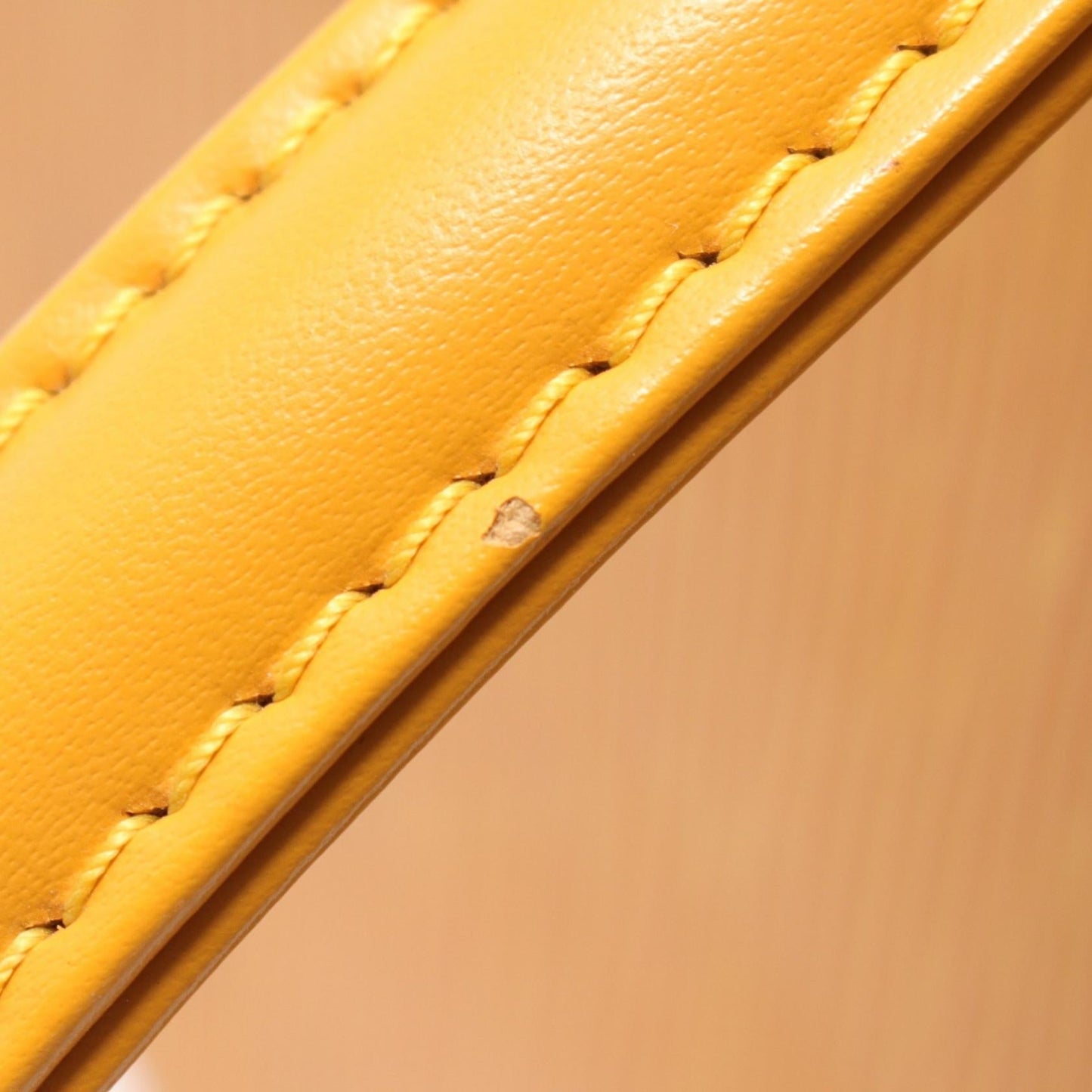 Louis Vuitton Epi Leather Cannes Handbag M48039