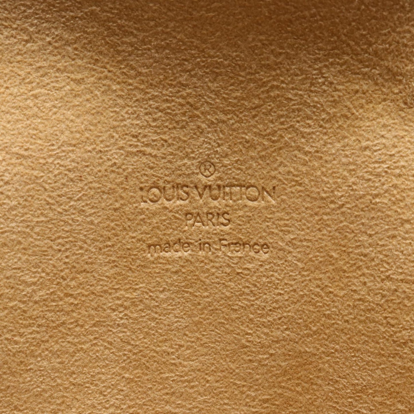 Louis Vuitton Monogram Pochette Florentine Waist Bag M51855