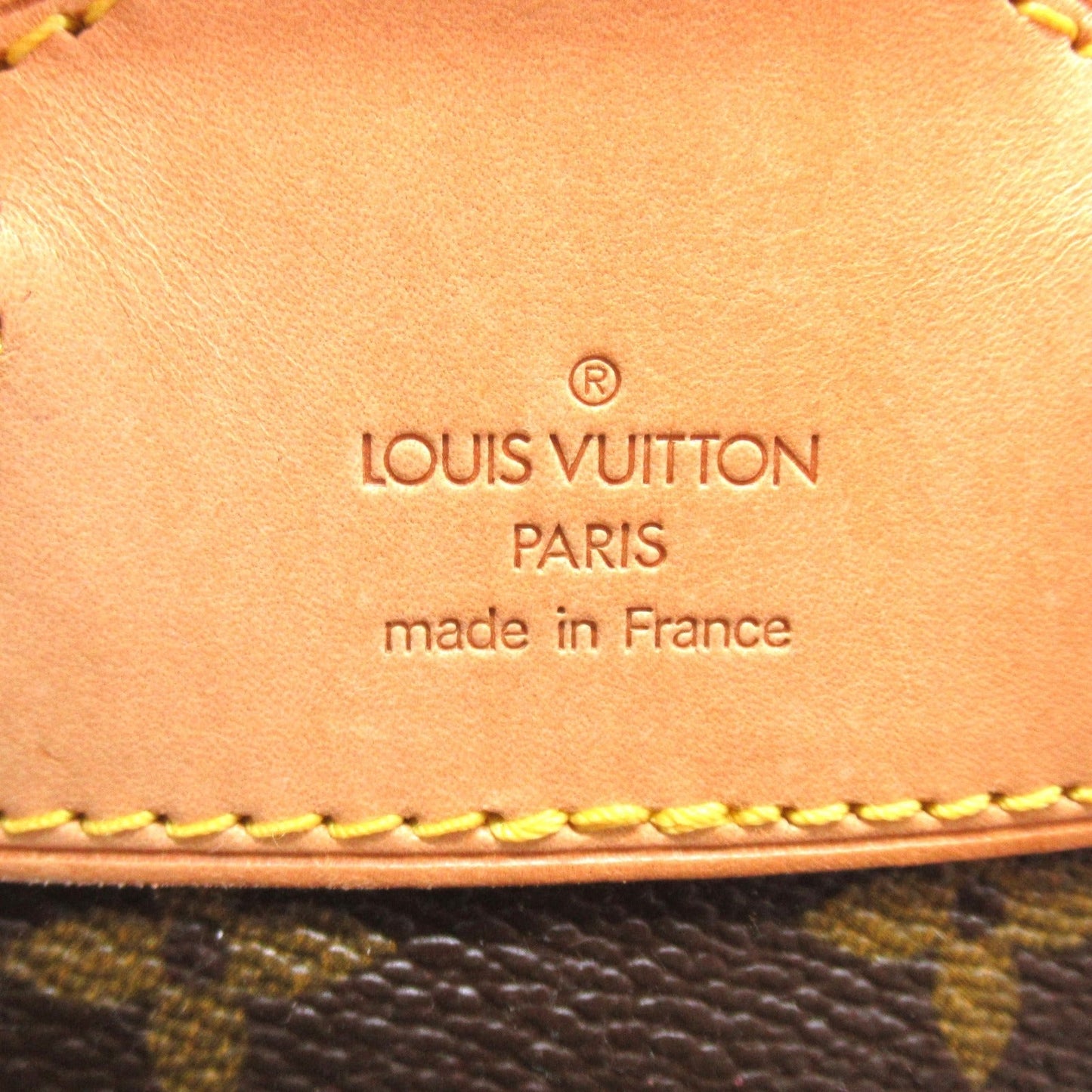 Louis Vuitton Monogram Montsouris MM Backpack