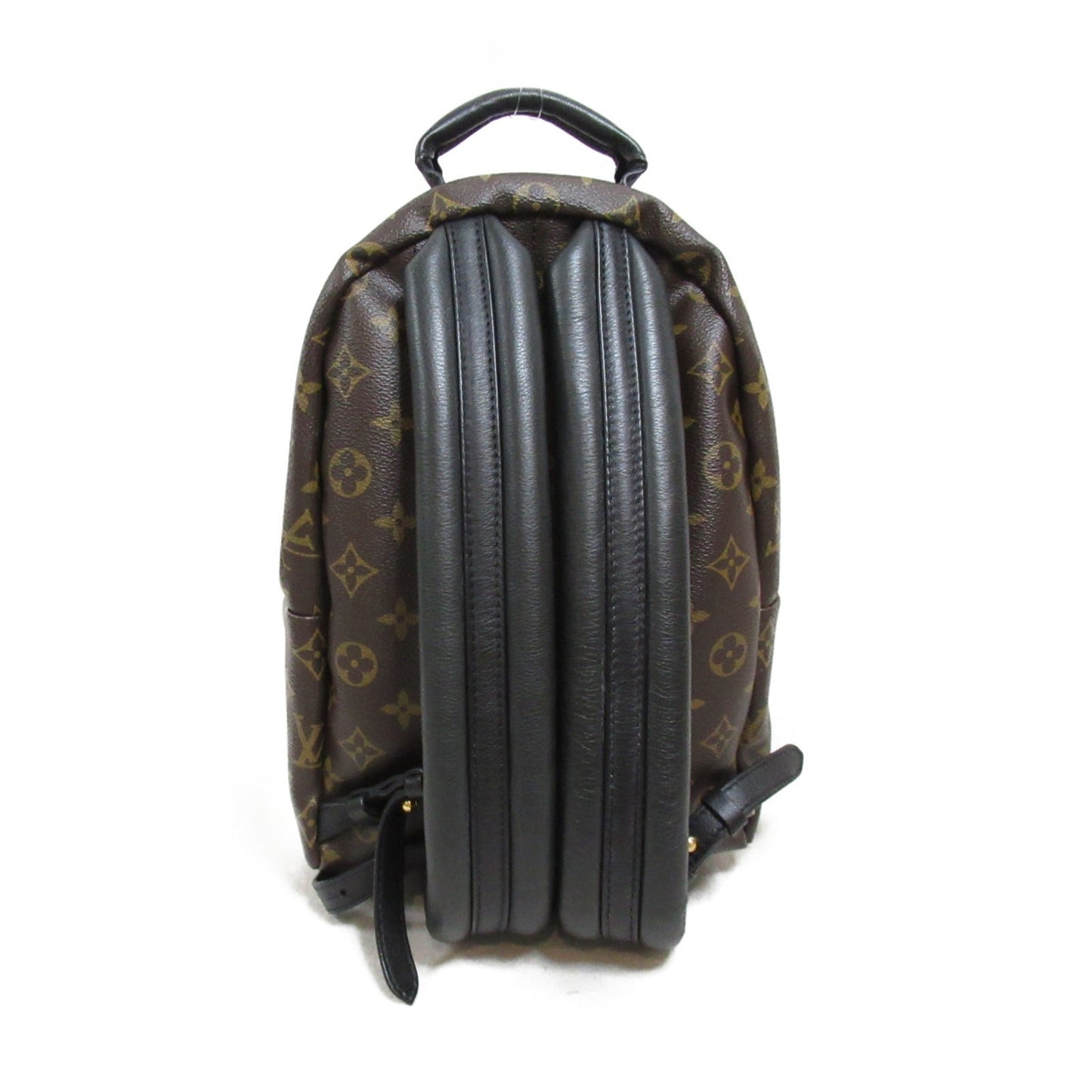 Louis Vuitton Palm Springs Backpack PM M44871