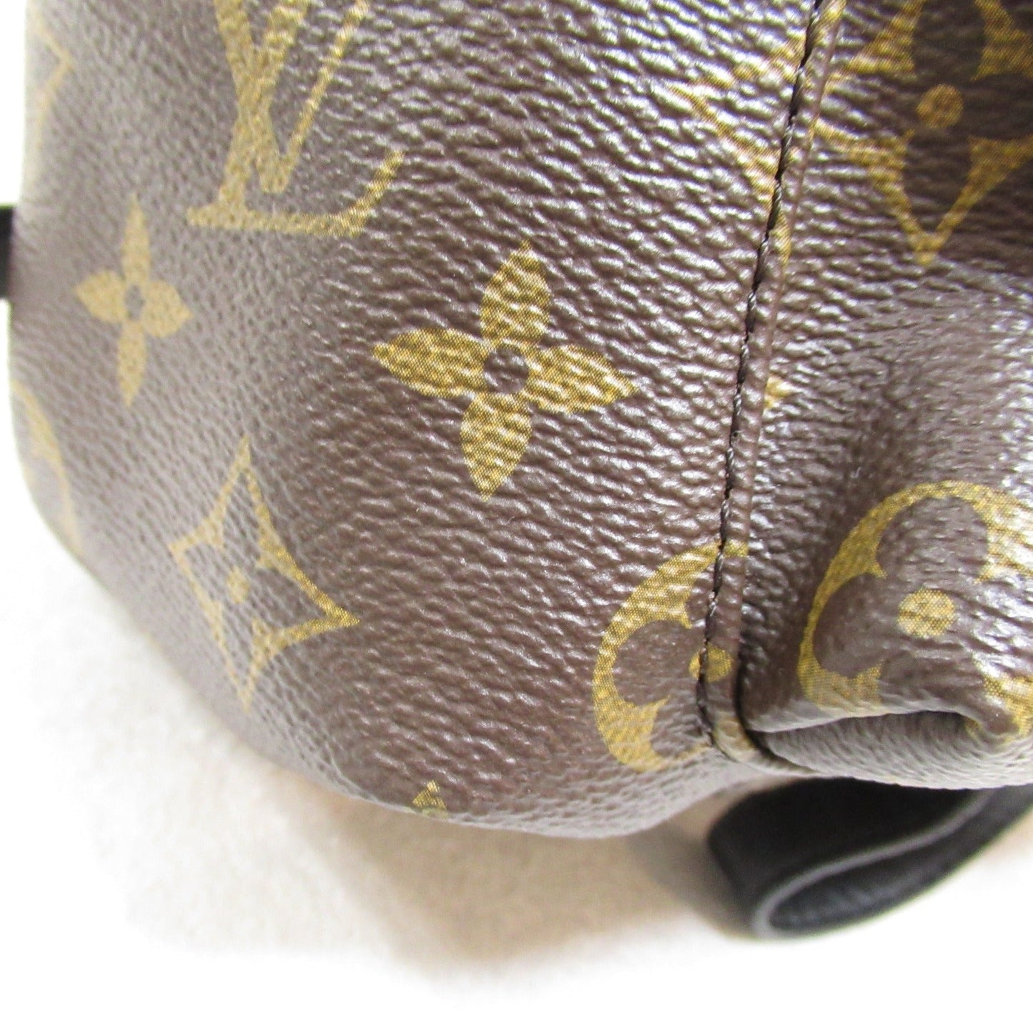 Louis Vuitton Palm Springs Backpack PM M44871