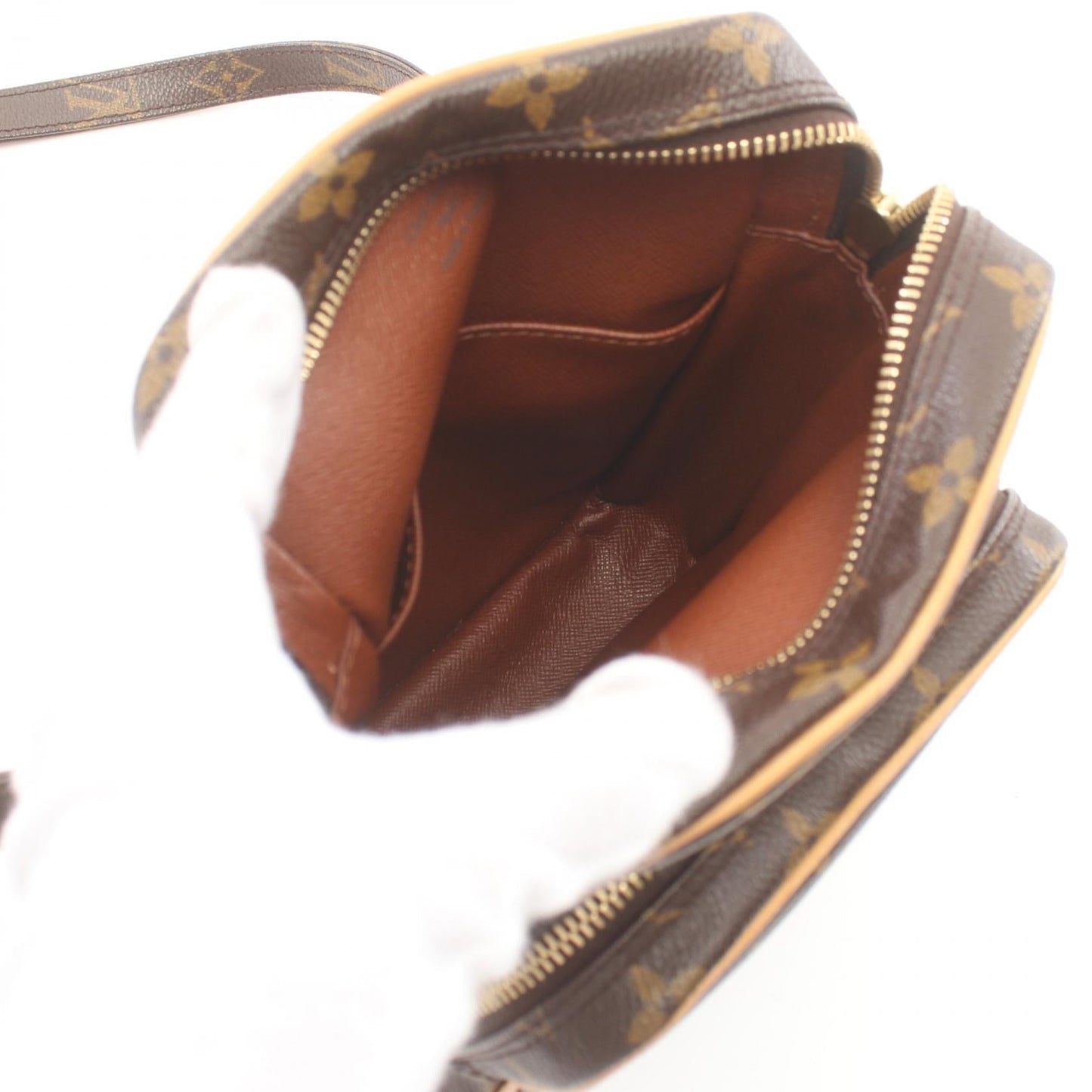 Louis Vuitton Monogram Amazon Shoulder Bag M45236