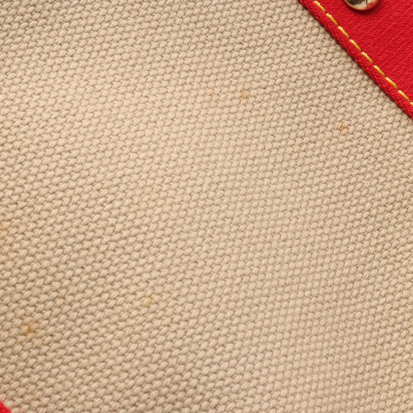 Louis Vuitton Antigua Canvas Leather Tote Bag M40035