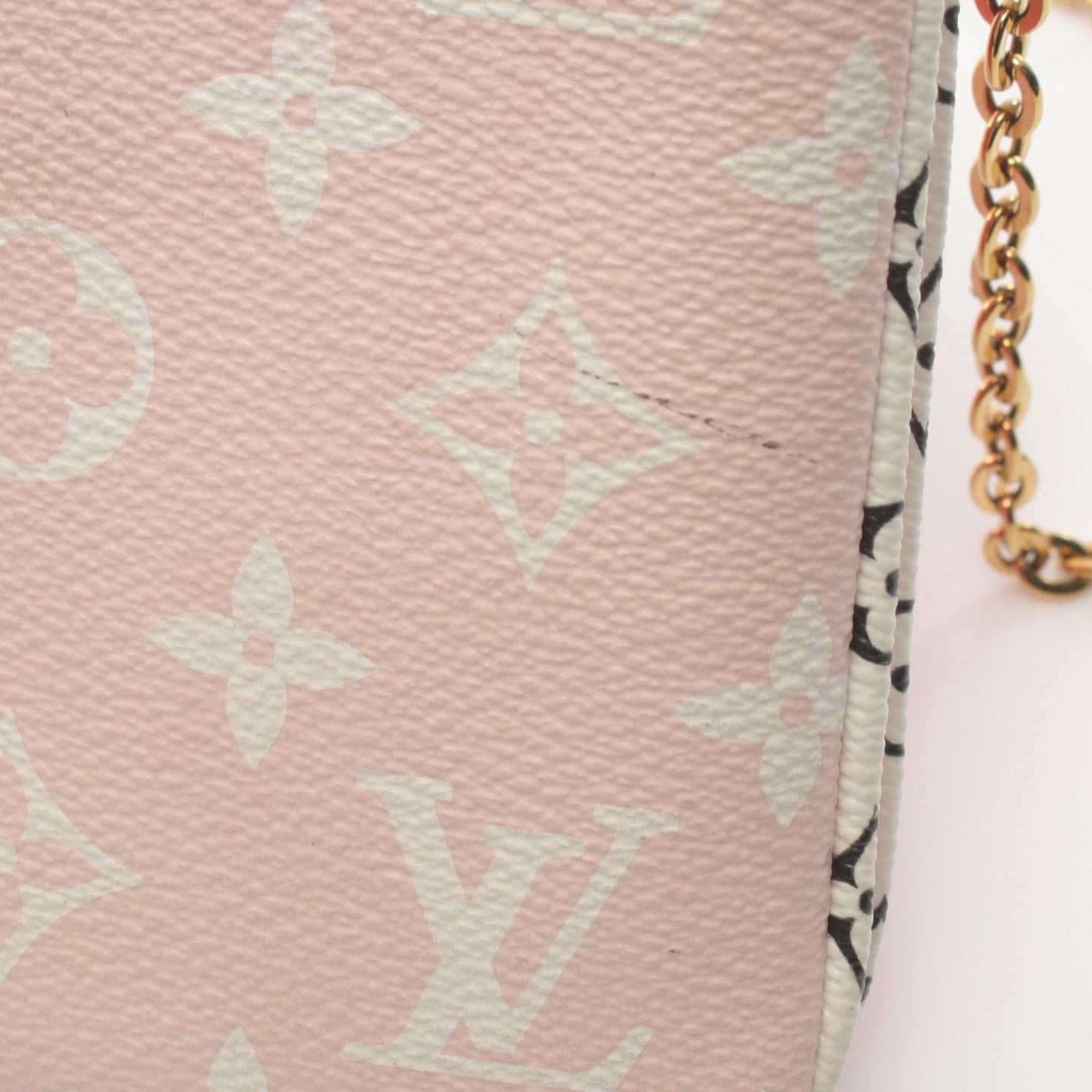 Louis Vuitton Monogram Giant Double Zip Bag
