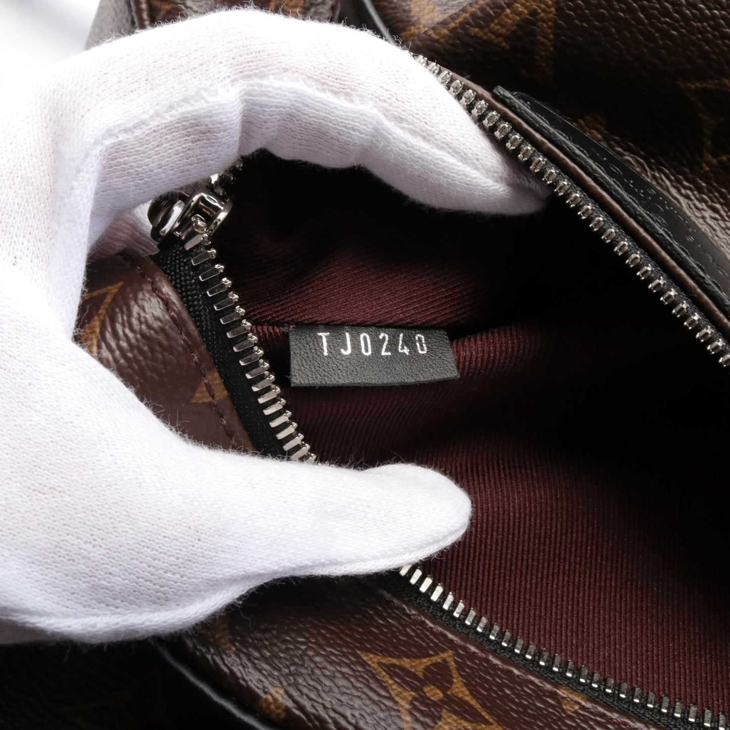 Louis Vuitton Josh Monogram Macassar Backpack M41530