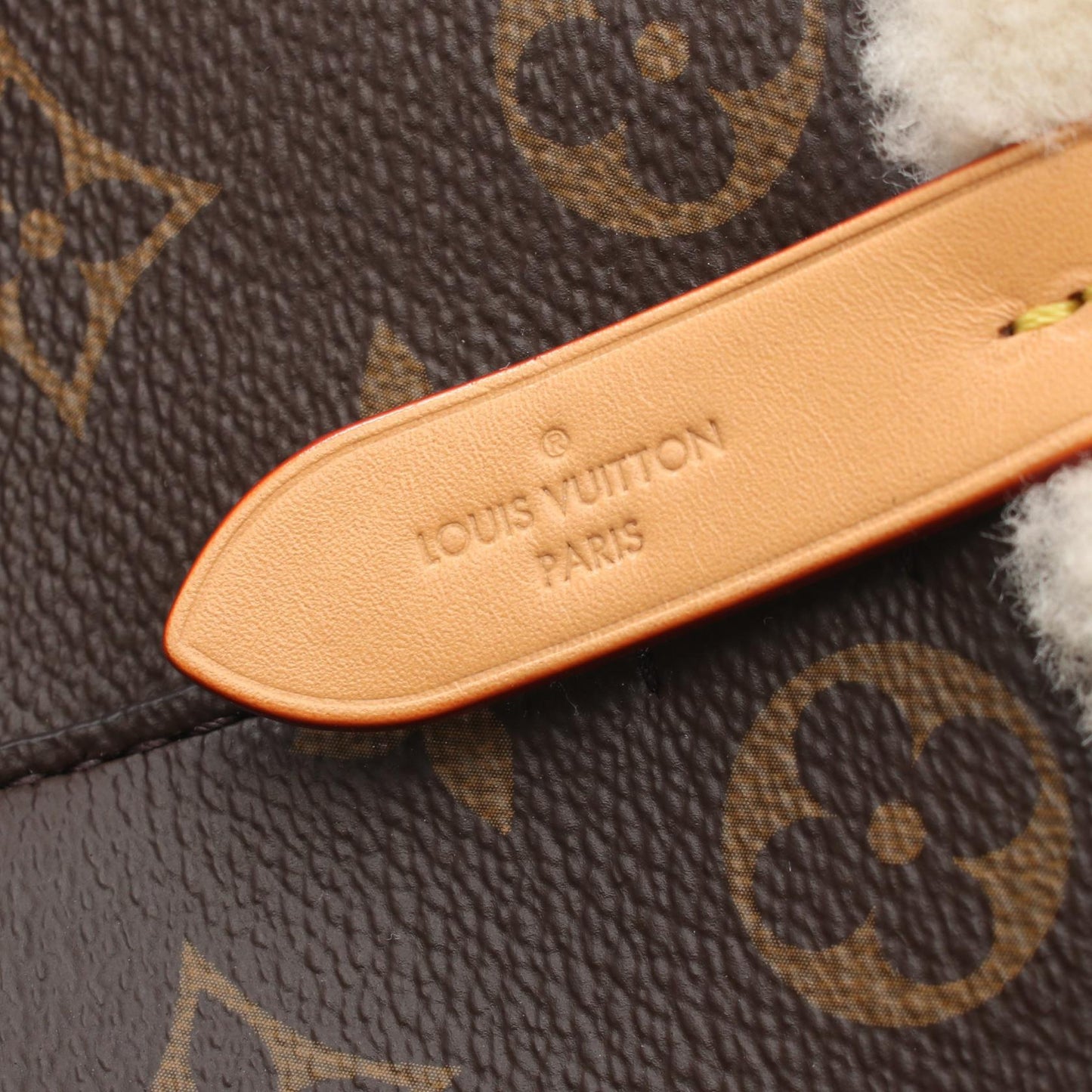 Louis Vuitton NeoNoe BB Monogram Handbag M46319