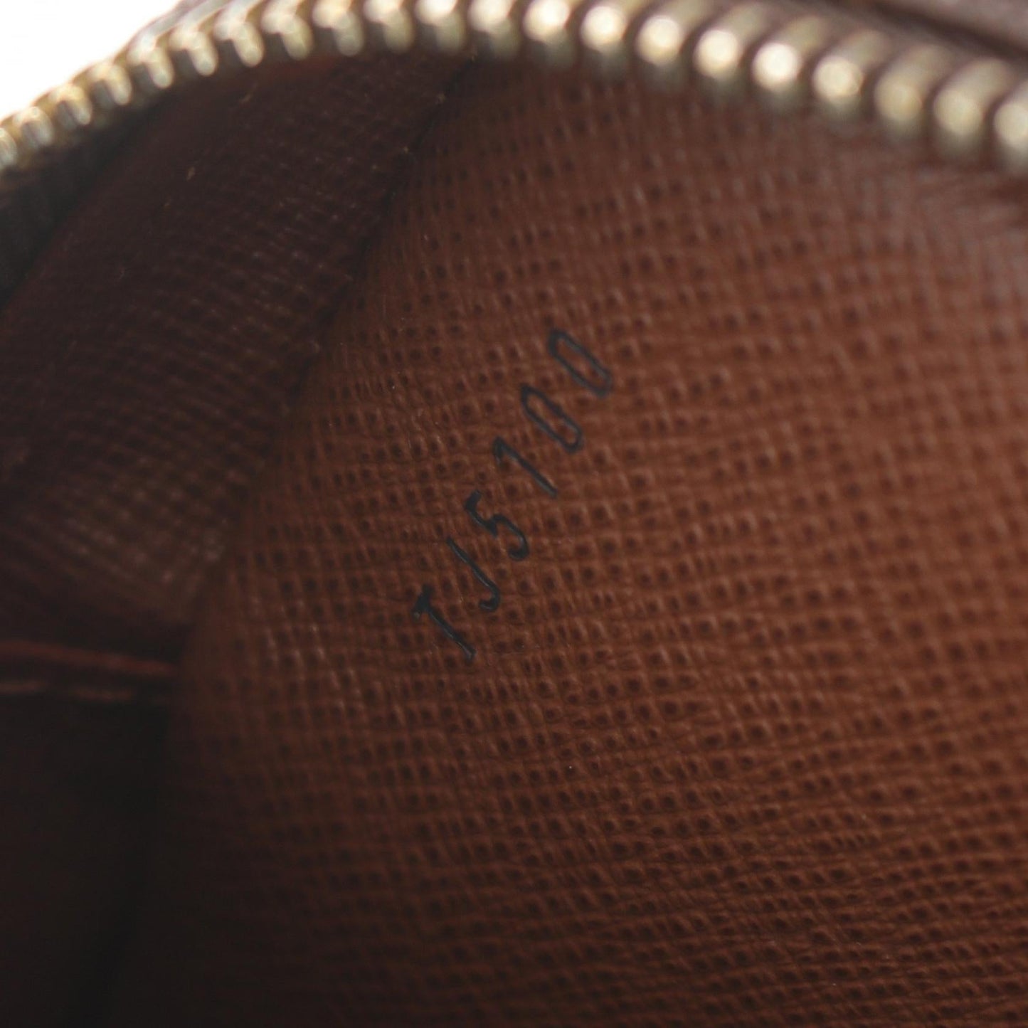 Louis Vuitton Danube Monogram Shoulder Bag M45266