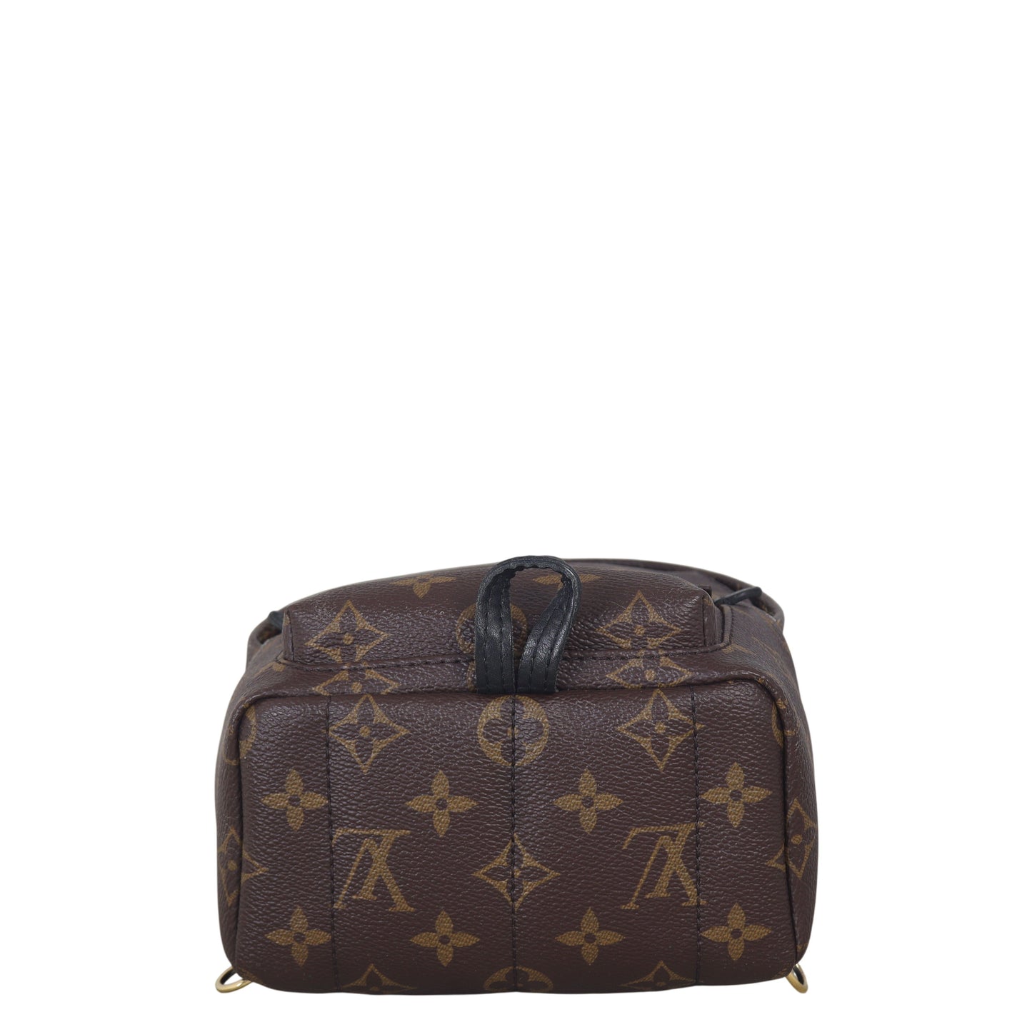 Louis Vuitton Palm Springs Mini Backpack Monogram