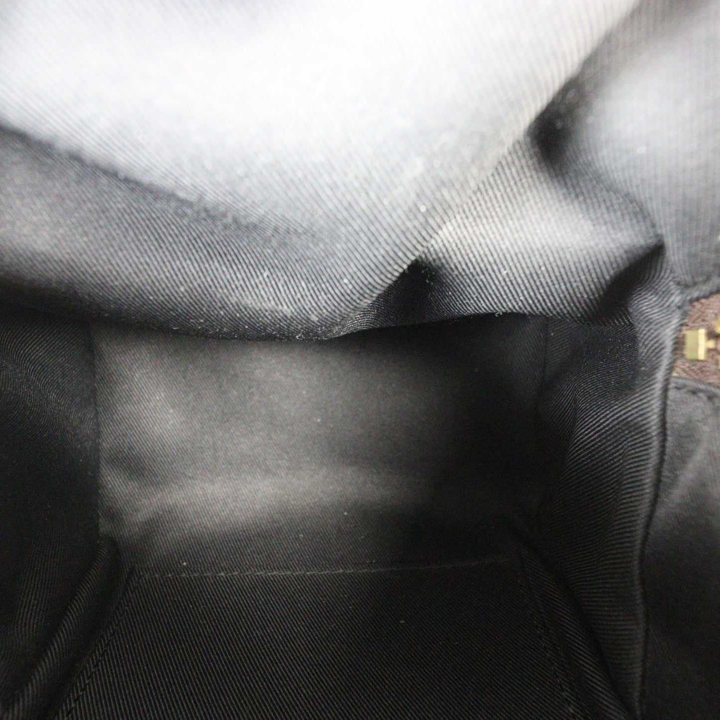 Louis Vuitton Palm Springs Mini Backpack Monogram