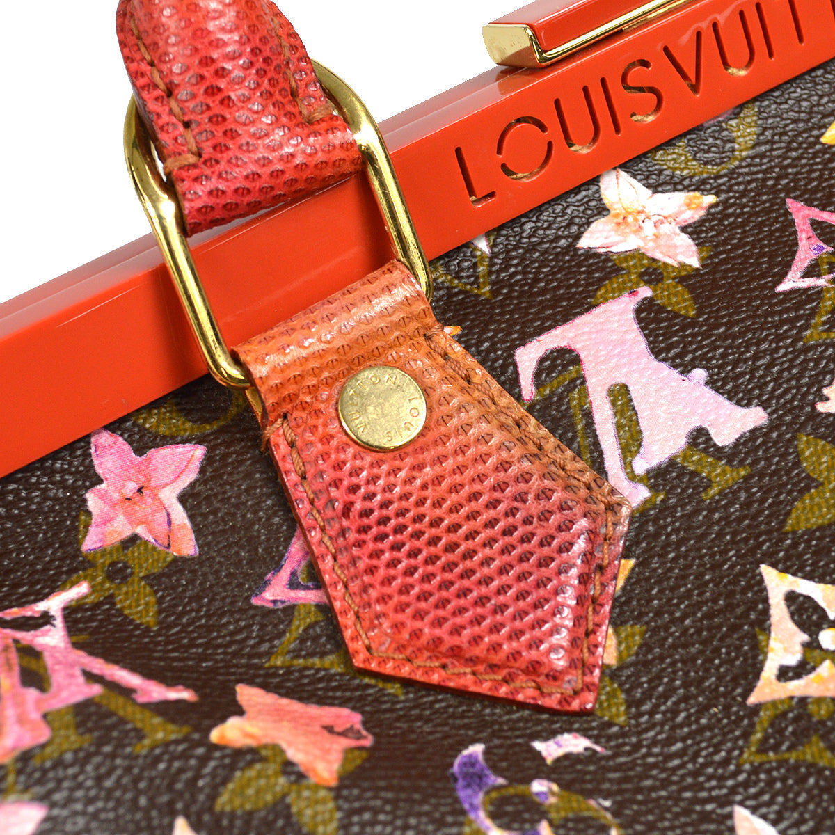 Louis Vuitton 2008 Papillon Monogram Watercolor M95730