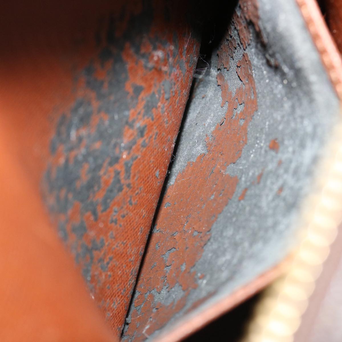 LOUIS VUITTON Monogram Amazon Shoulder Bag M45236 LV 31958