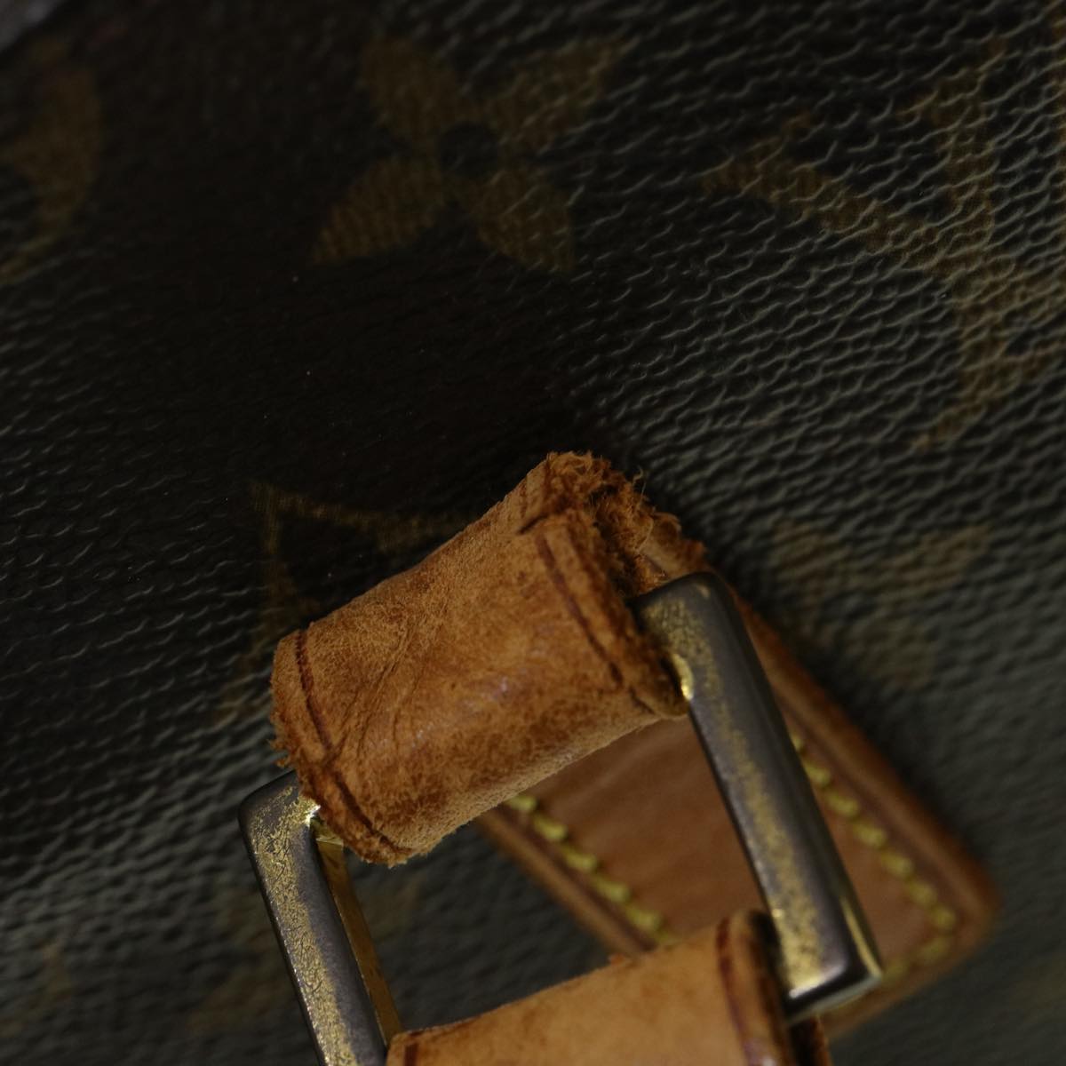 LOUIS VUITTON Monogram Vavin GM Tote Bag M51170 LV 33367