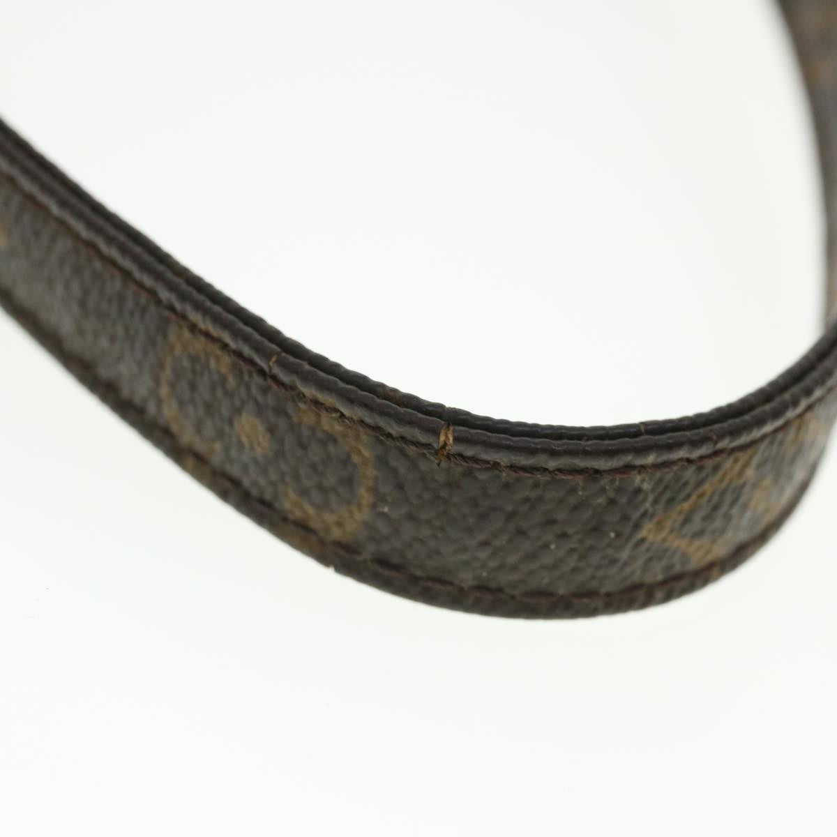 LOUIS VUITTON Monogram Danube Shoulder Bag M45266 LV 33785