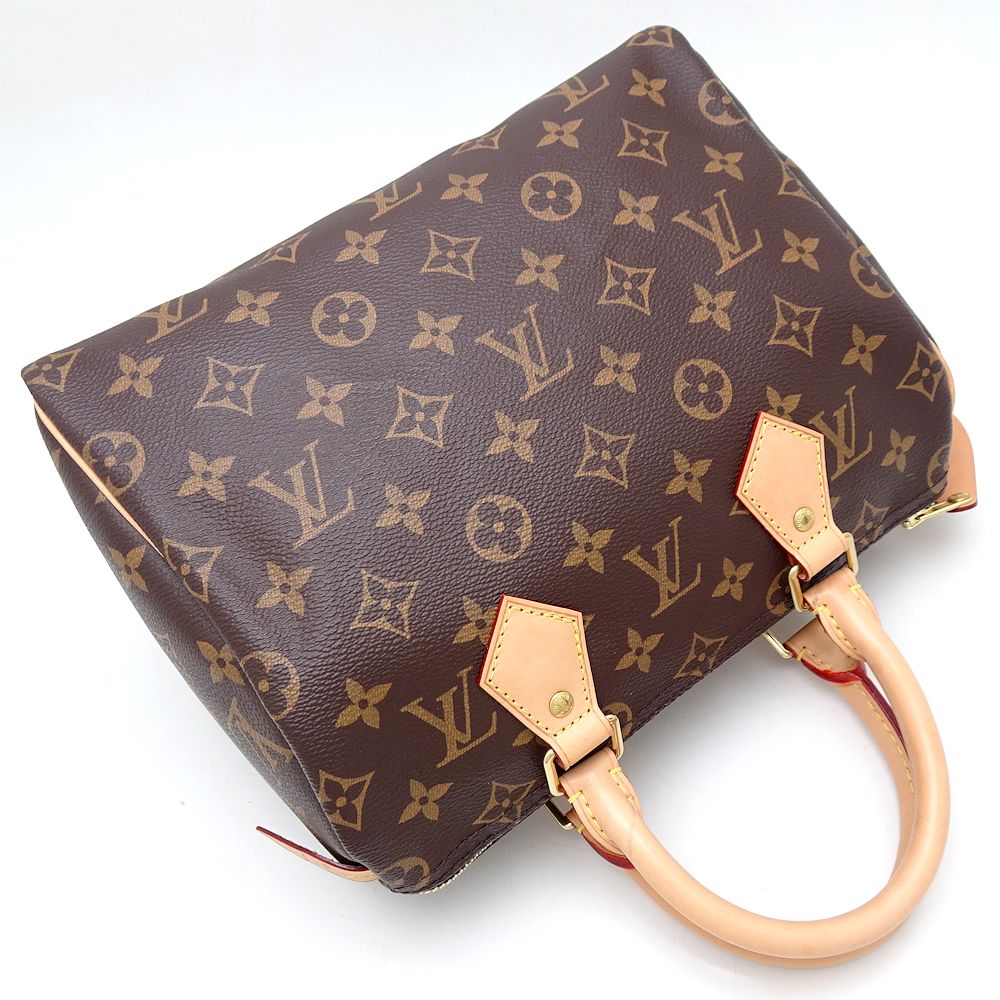 Louis Vuitton Monogram Speedy 25 Handbag M41109