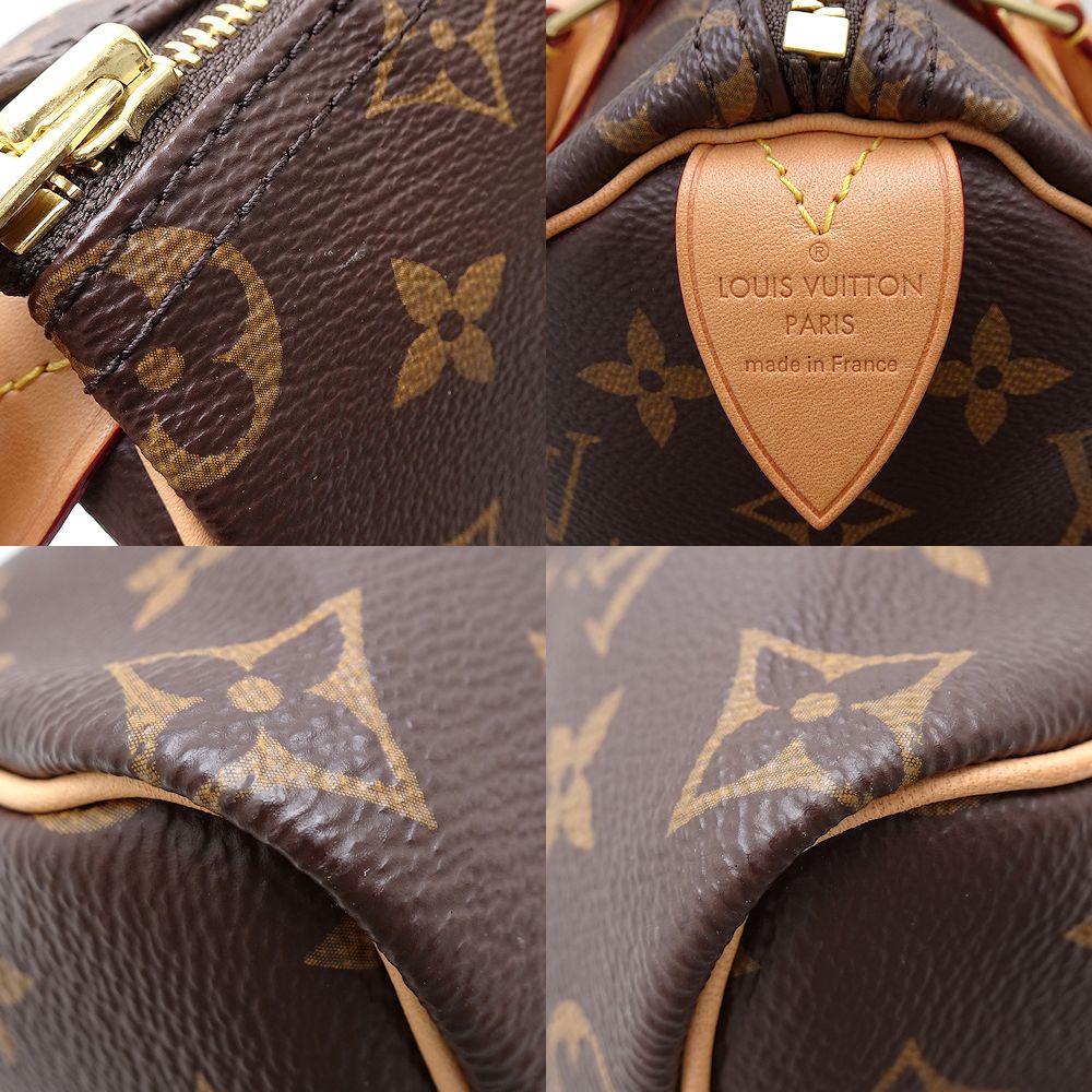 Louis Vuitton Monogram Speedy 25 Handbag M41109