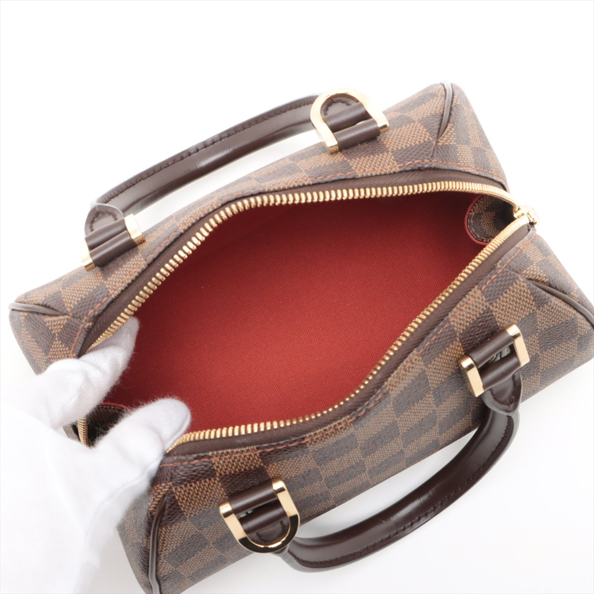 Louis Vuitton Damier Liberamini N41436