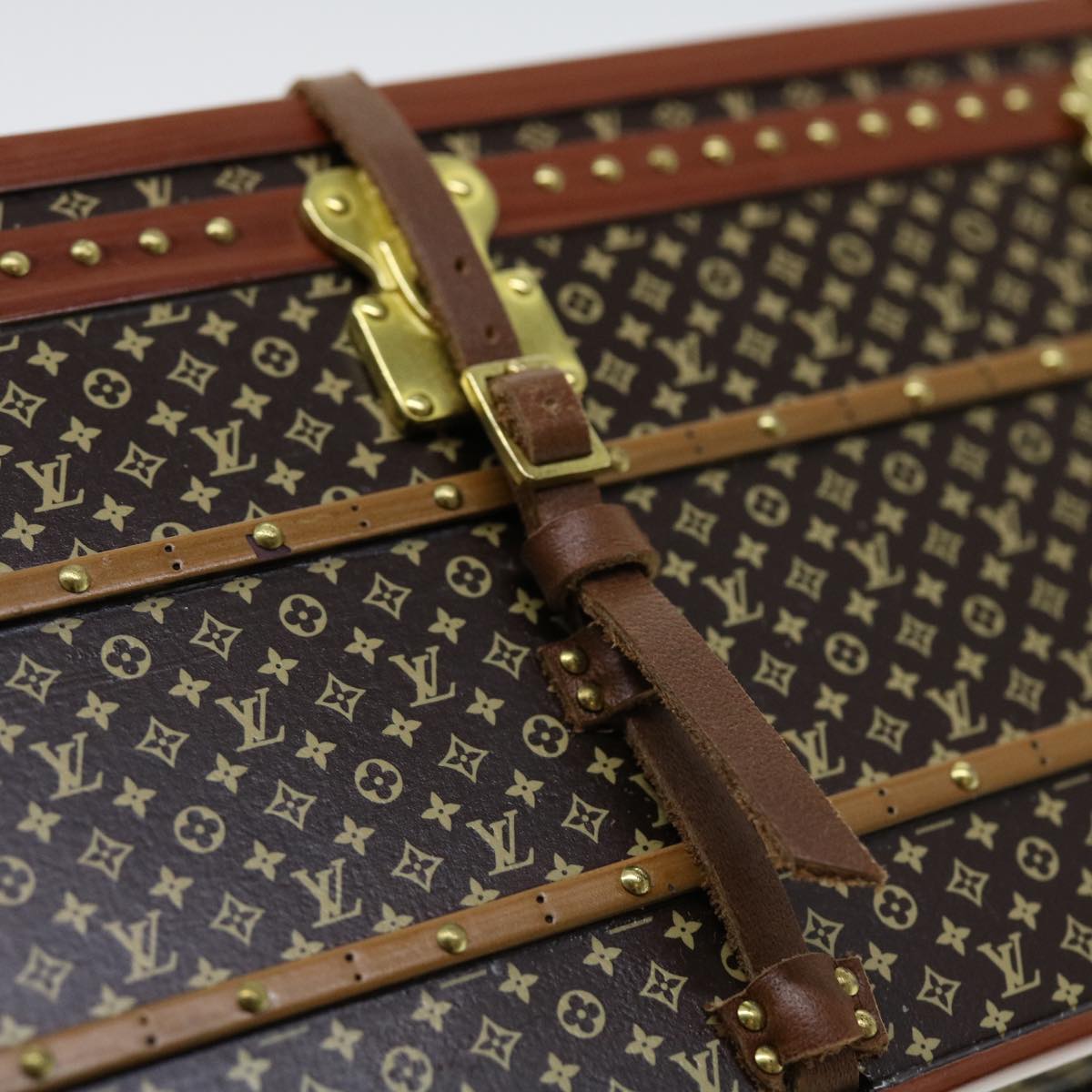 LOUIS VUITTON Miss France Paper Weight 2010 Brown M99408 LV 40979A