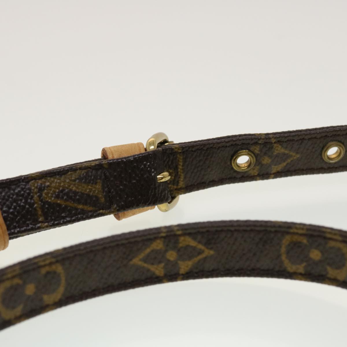 LOUIS VUITTON Monogram Amazon Shoulder Bag M45236 LV 45042
