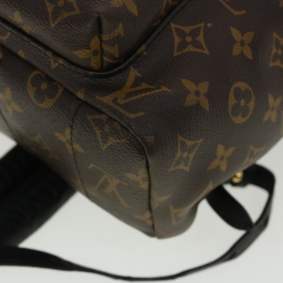 LOUIS VUITTON Monogram Palm Springs MM Backpack M41561 LV 45223