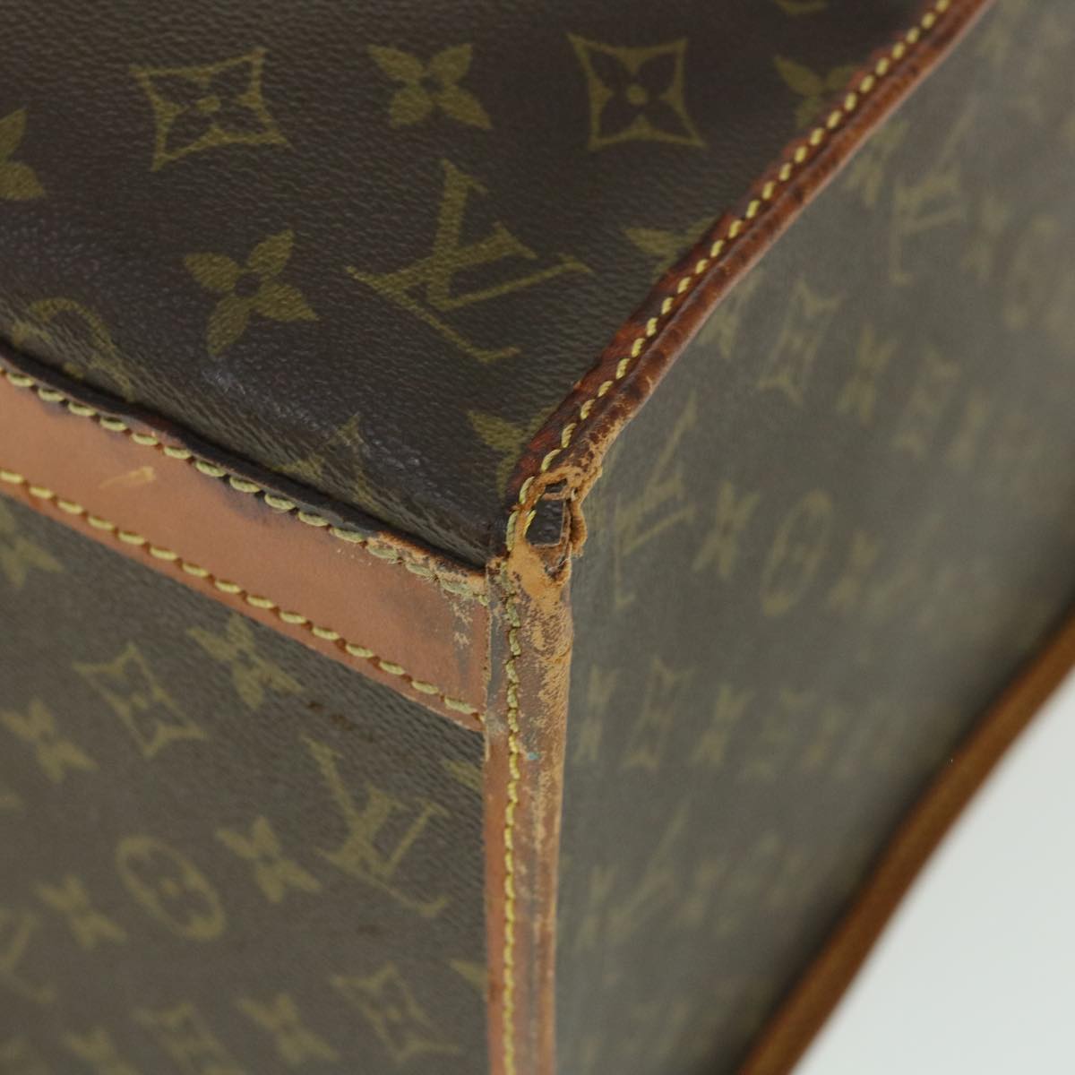 LOUIS VUITTON Monogram Sac Demi Souple 45 Pet Carry LV 53854