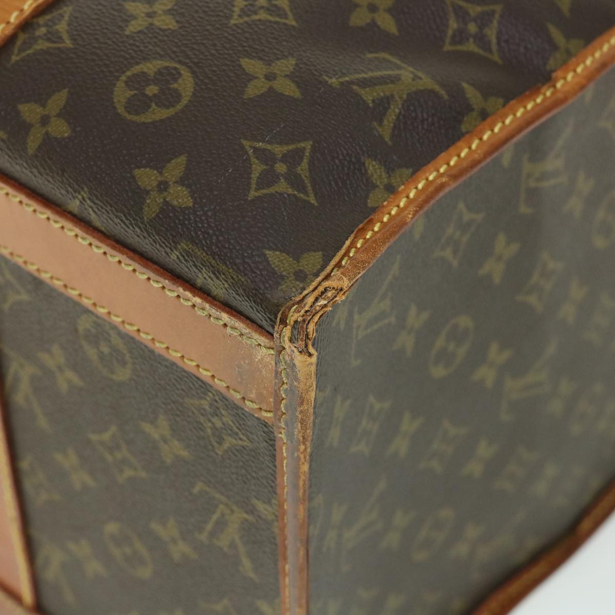 LOUIS VUITTON Monogram Sac Demi Souple 45 Pet Carry LV 53854