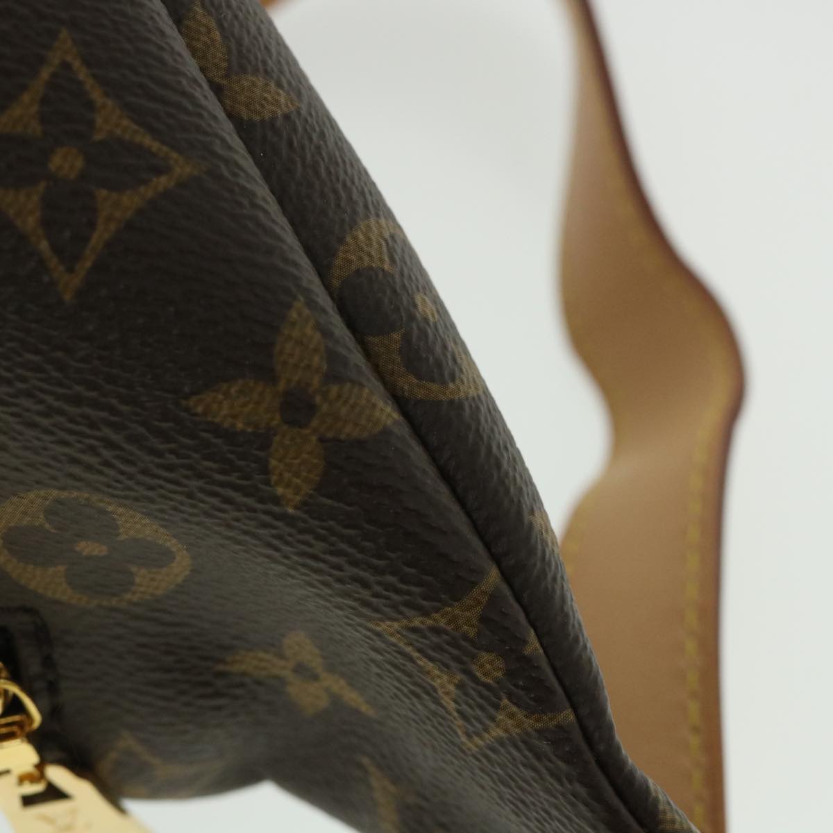 LOUIS VUITTON Monogram Bum Bag Shoulder Bag M43644 LV 55062